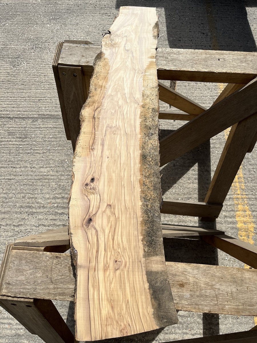 live edge olive tt000188.1.jpeg