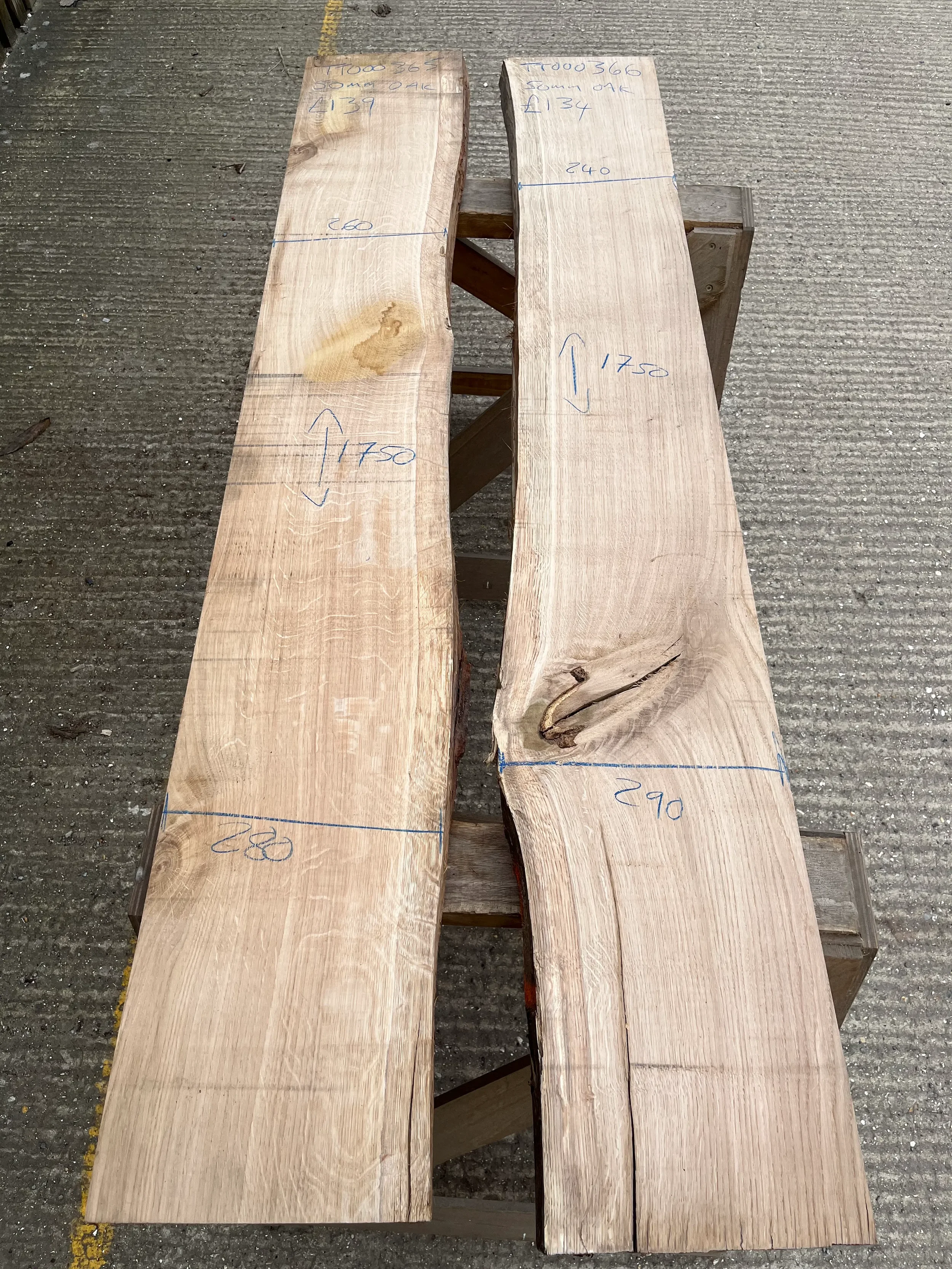 pippy tt000365&366.webp