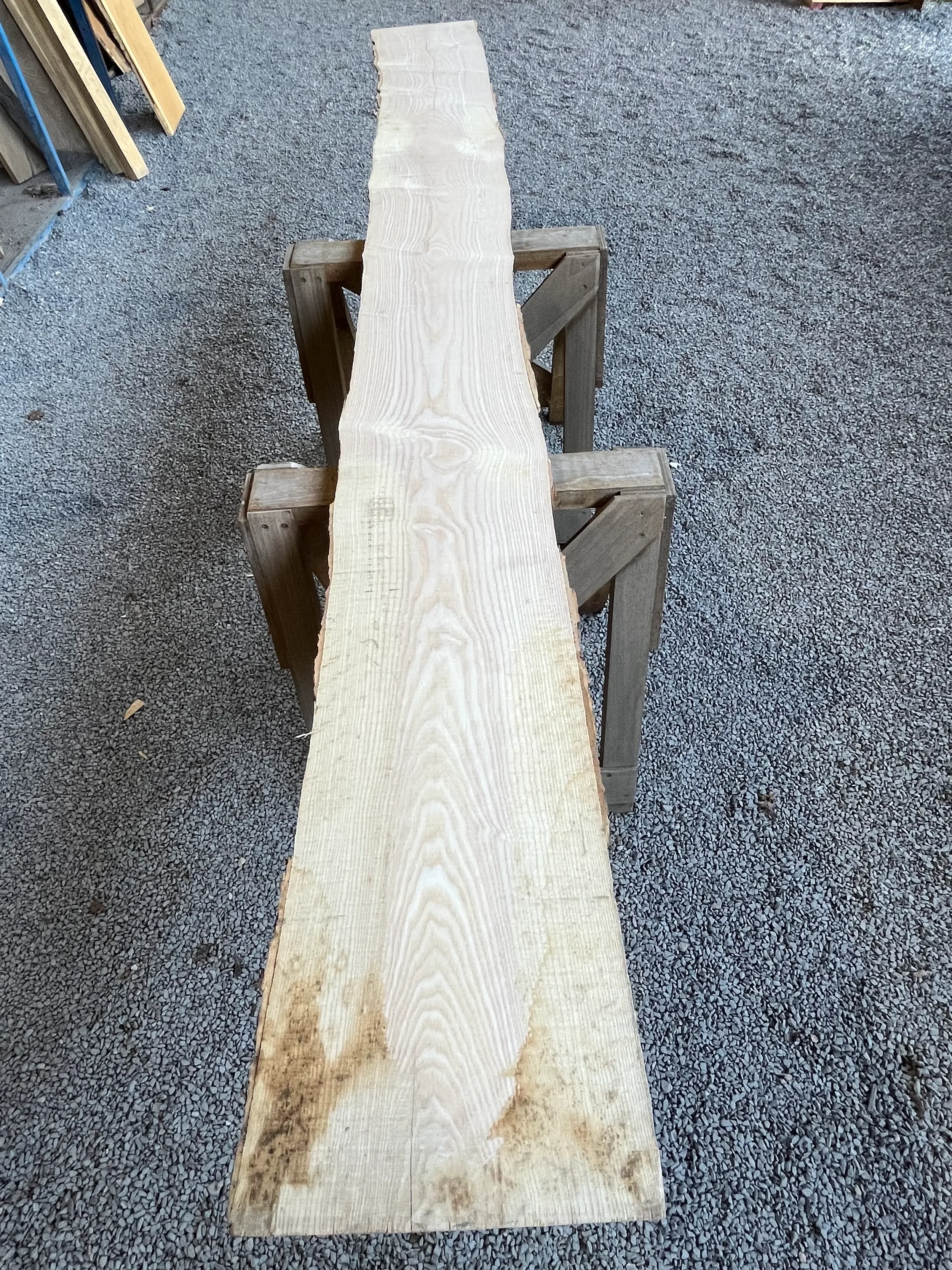 ash tt000404.2.webp