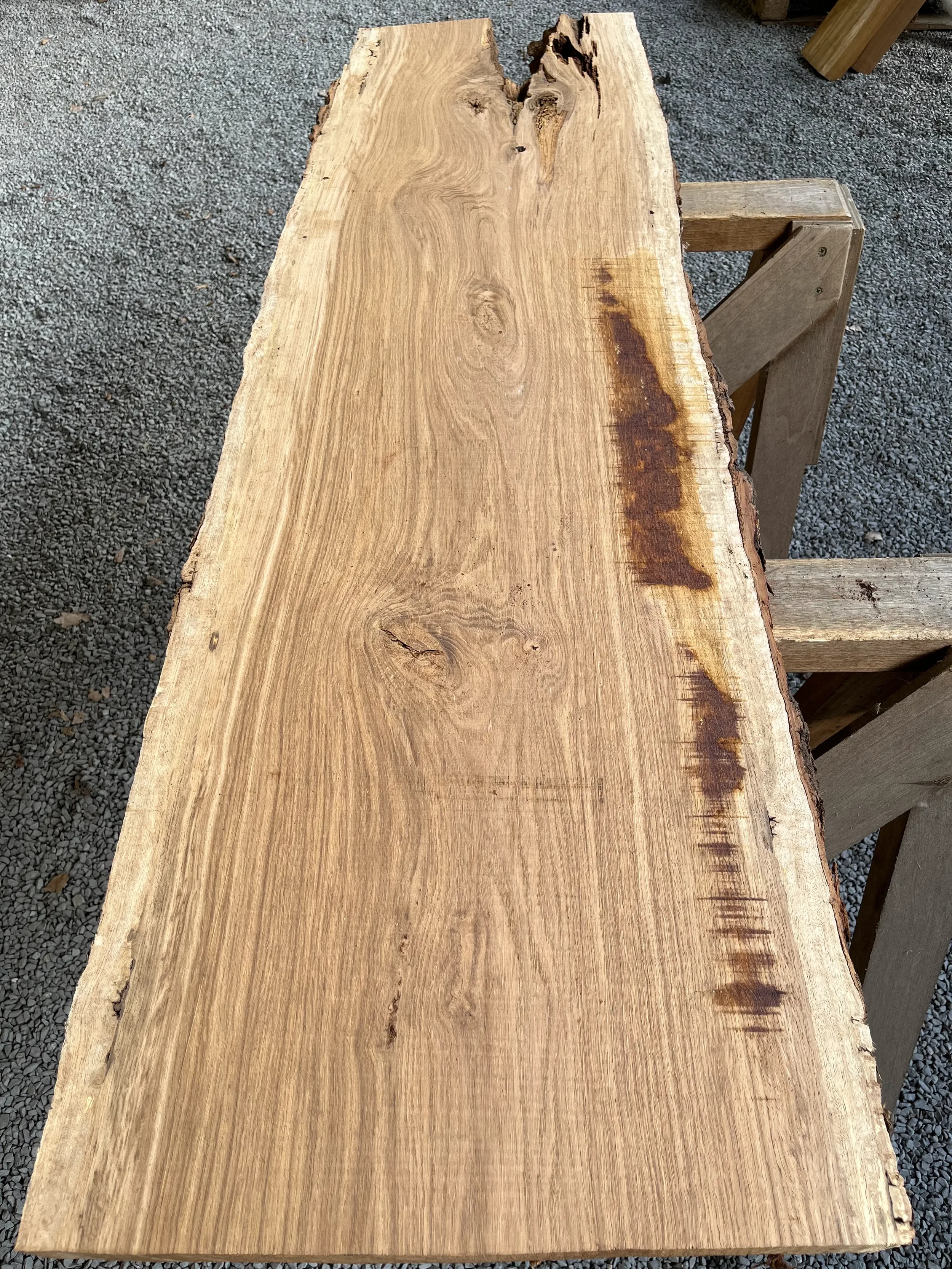 brown oak tt000480.2.webp