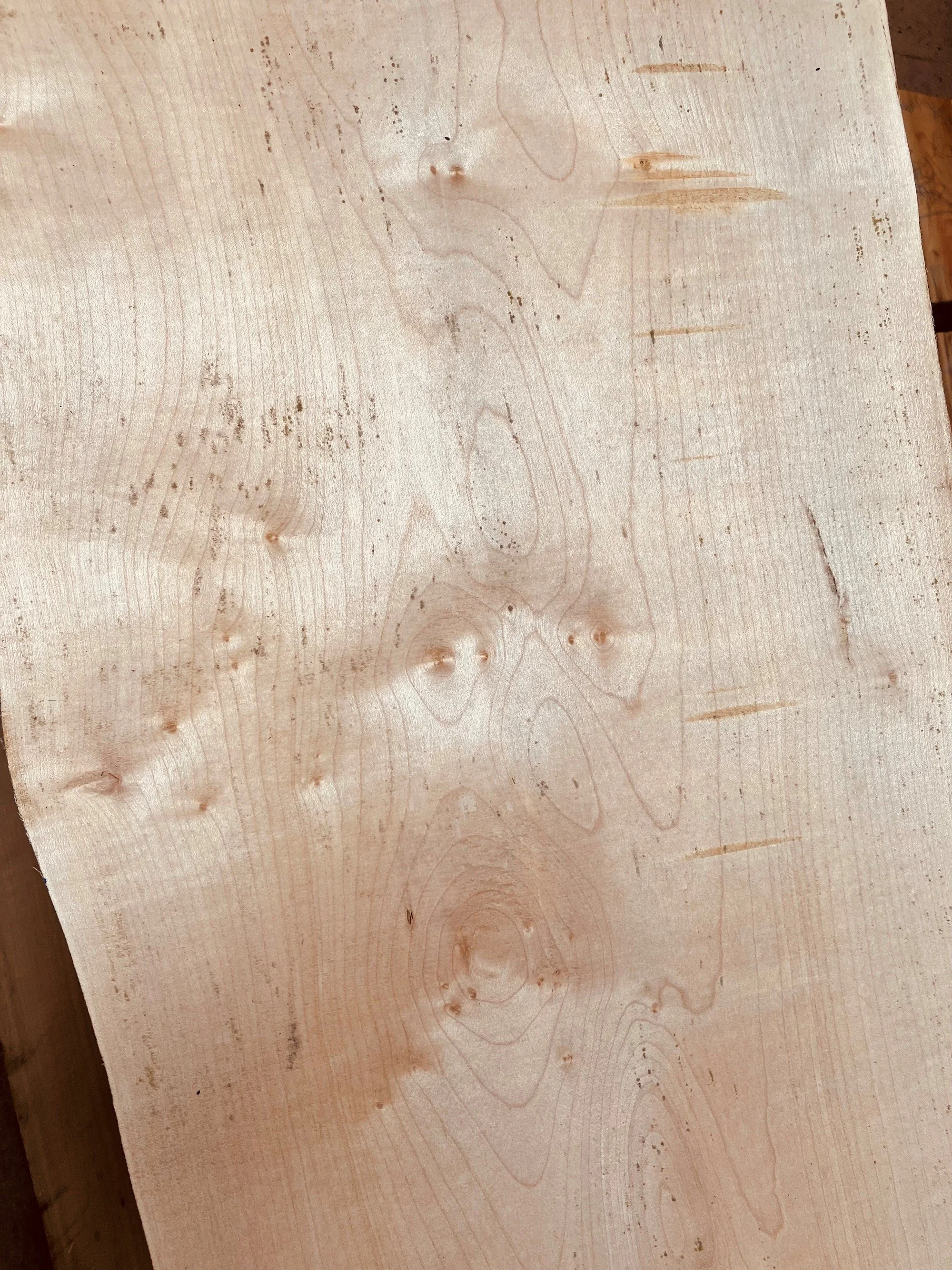 English Sycamore | WL West & Sons