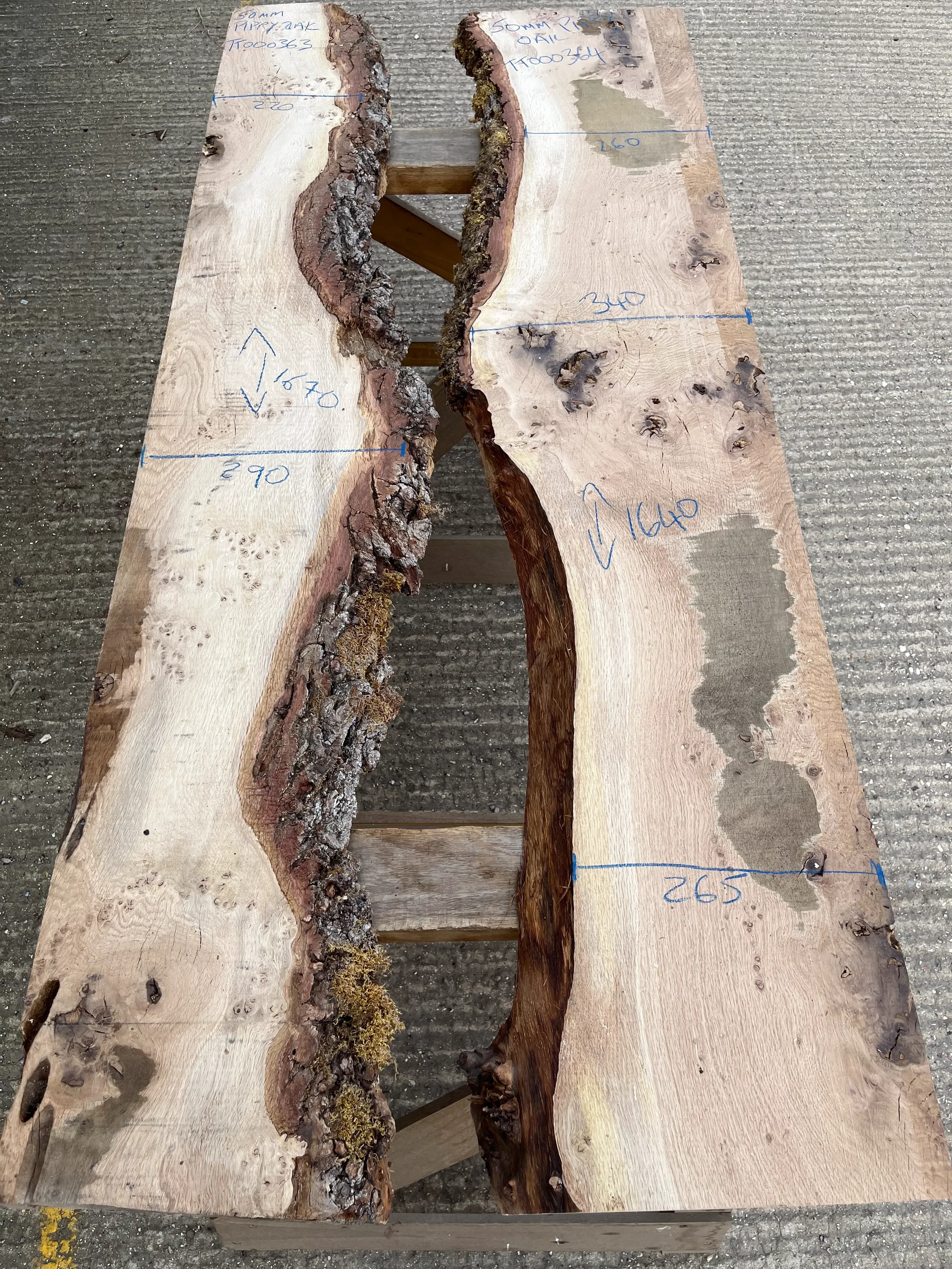 pippy tt000363&364.webp