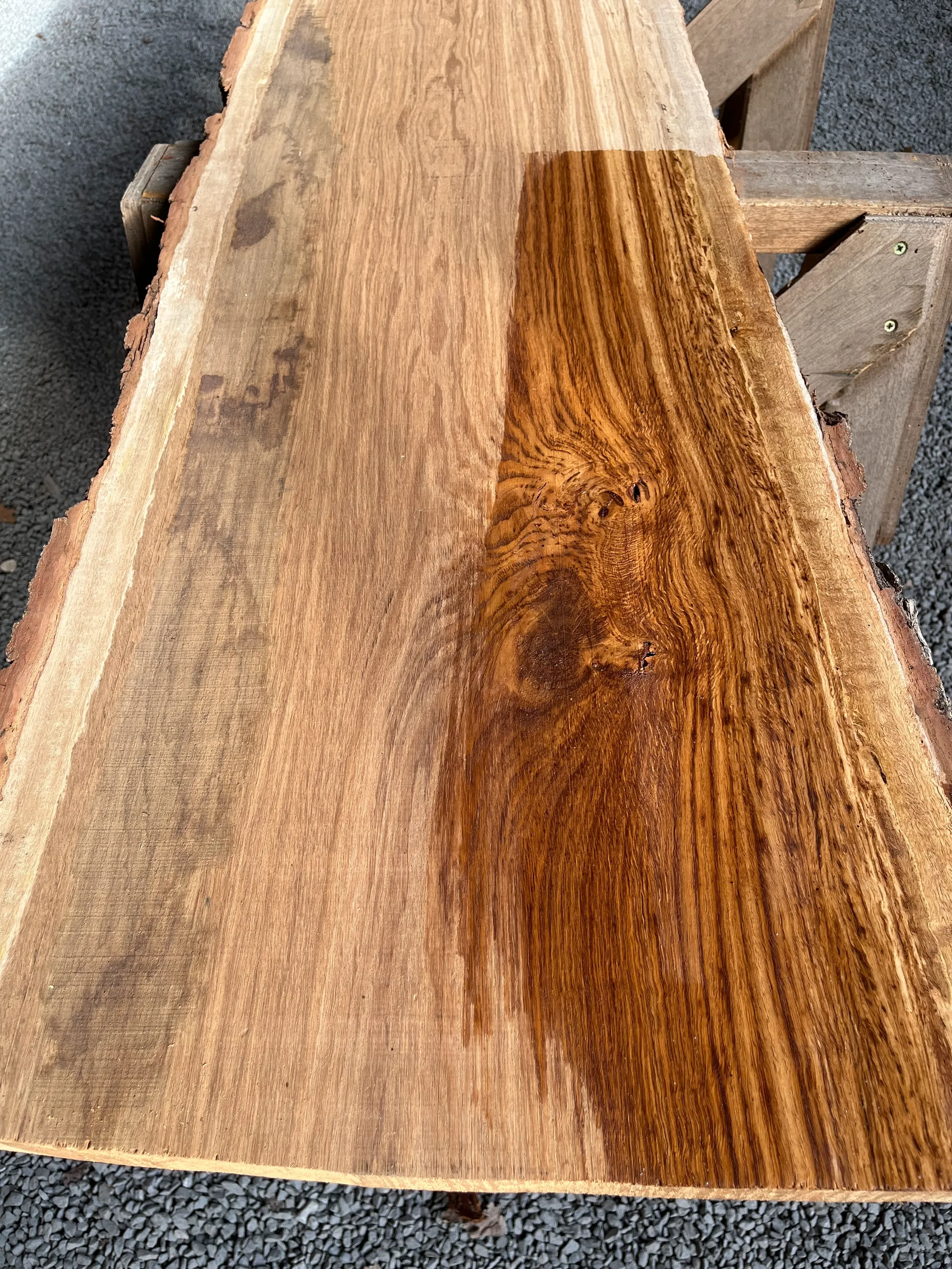 brown oak tt000469.2.webp