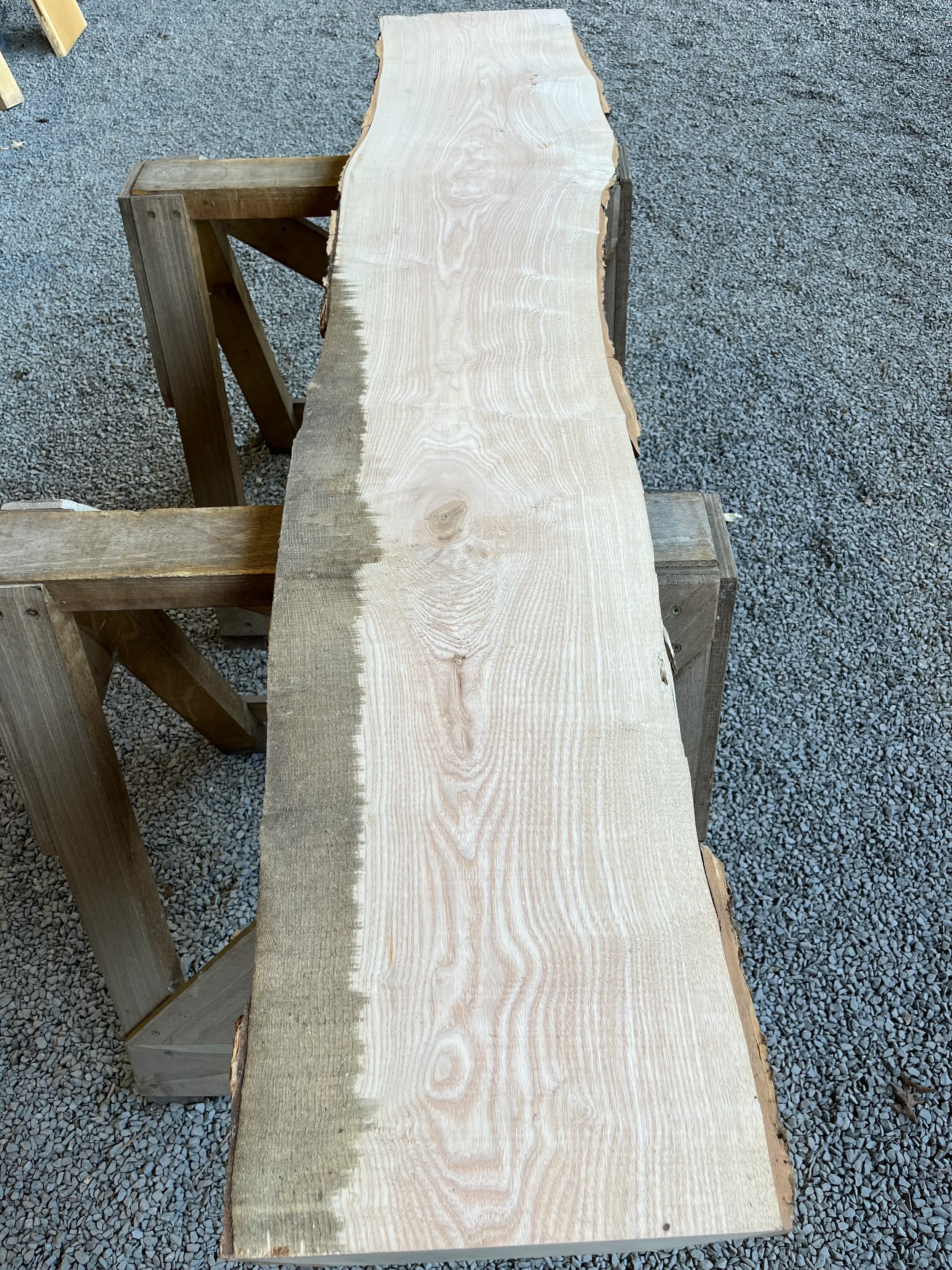 ash tt000416.webp