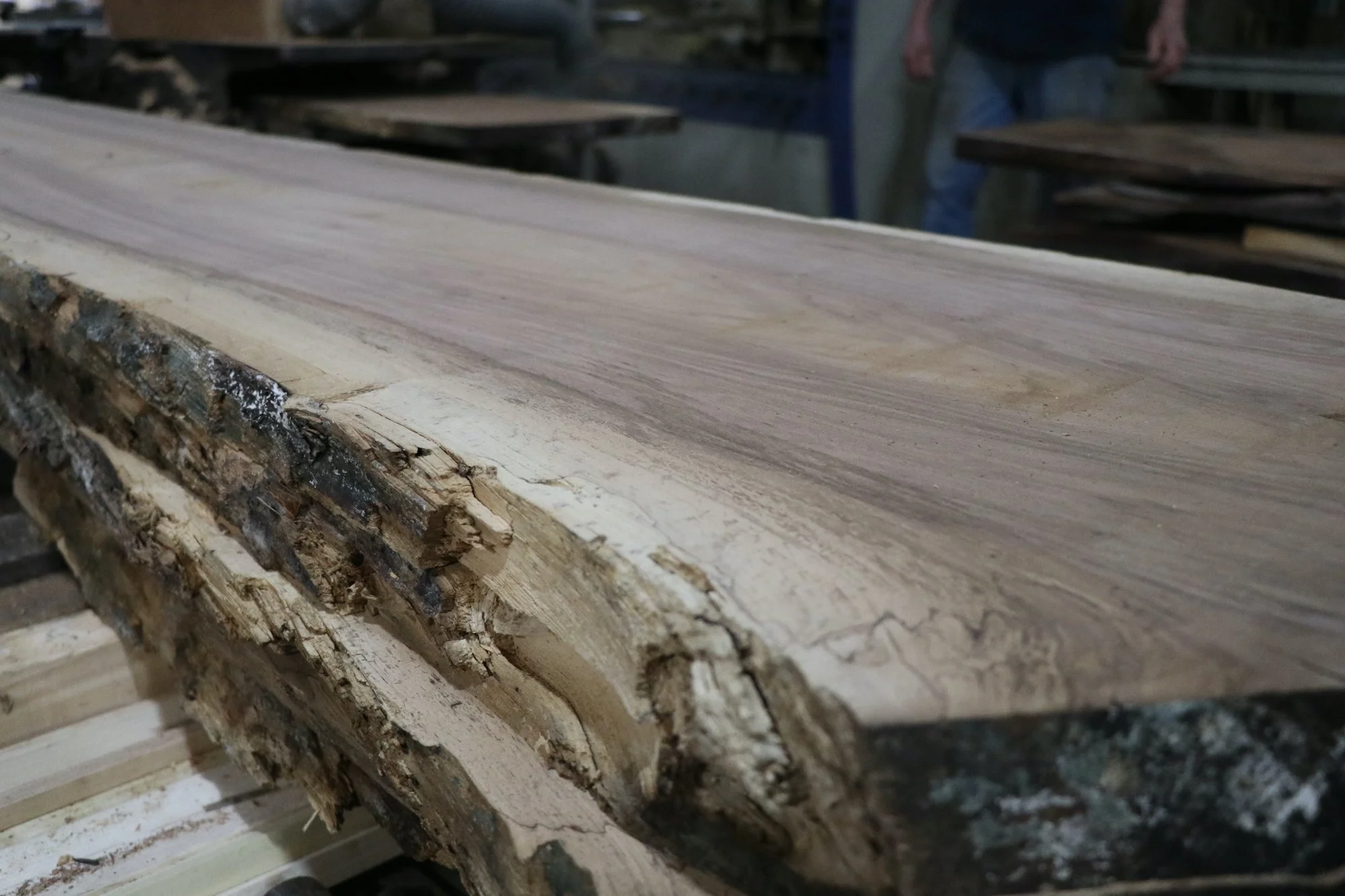 European walnut | WL West & Sons