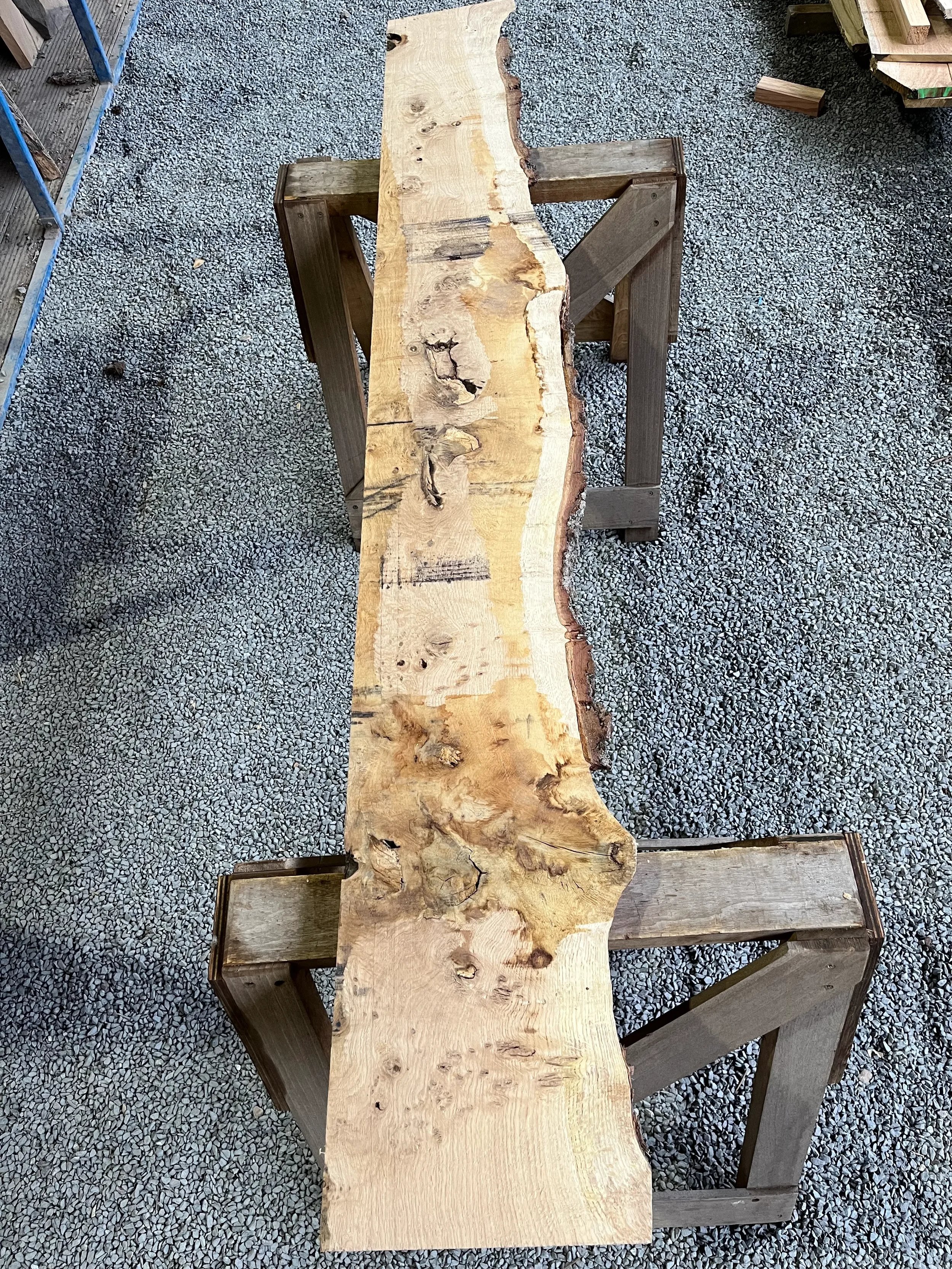 pippy tt000371.1.webp