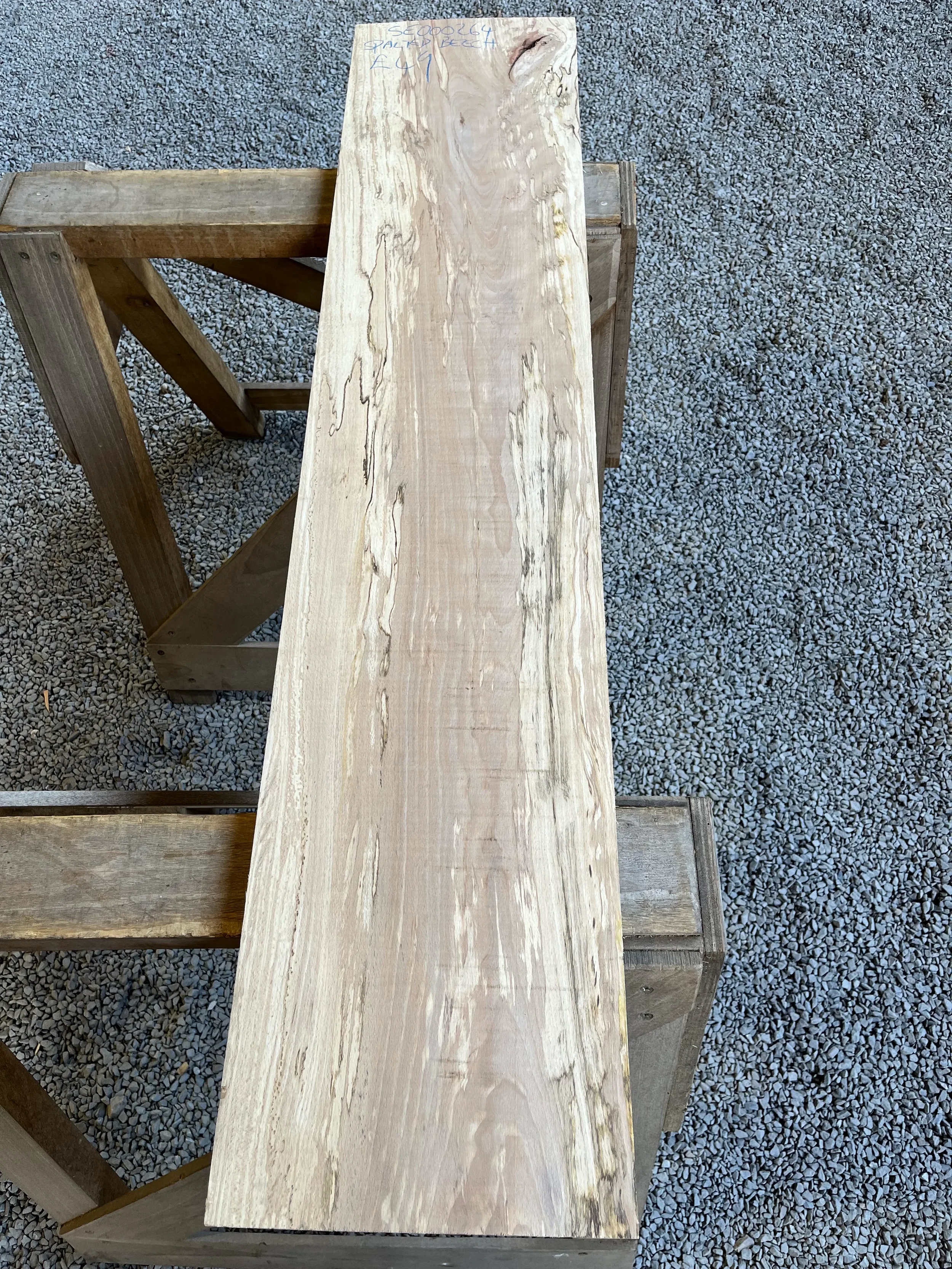 spalted beech se264.webp
