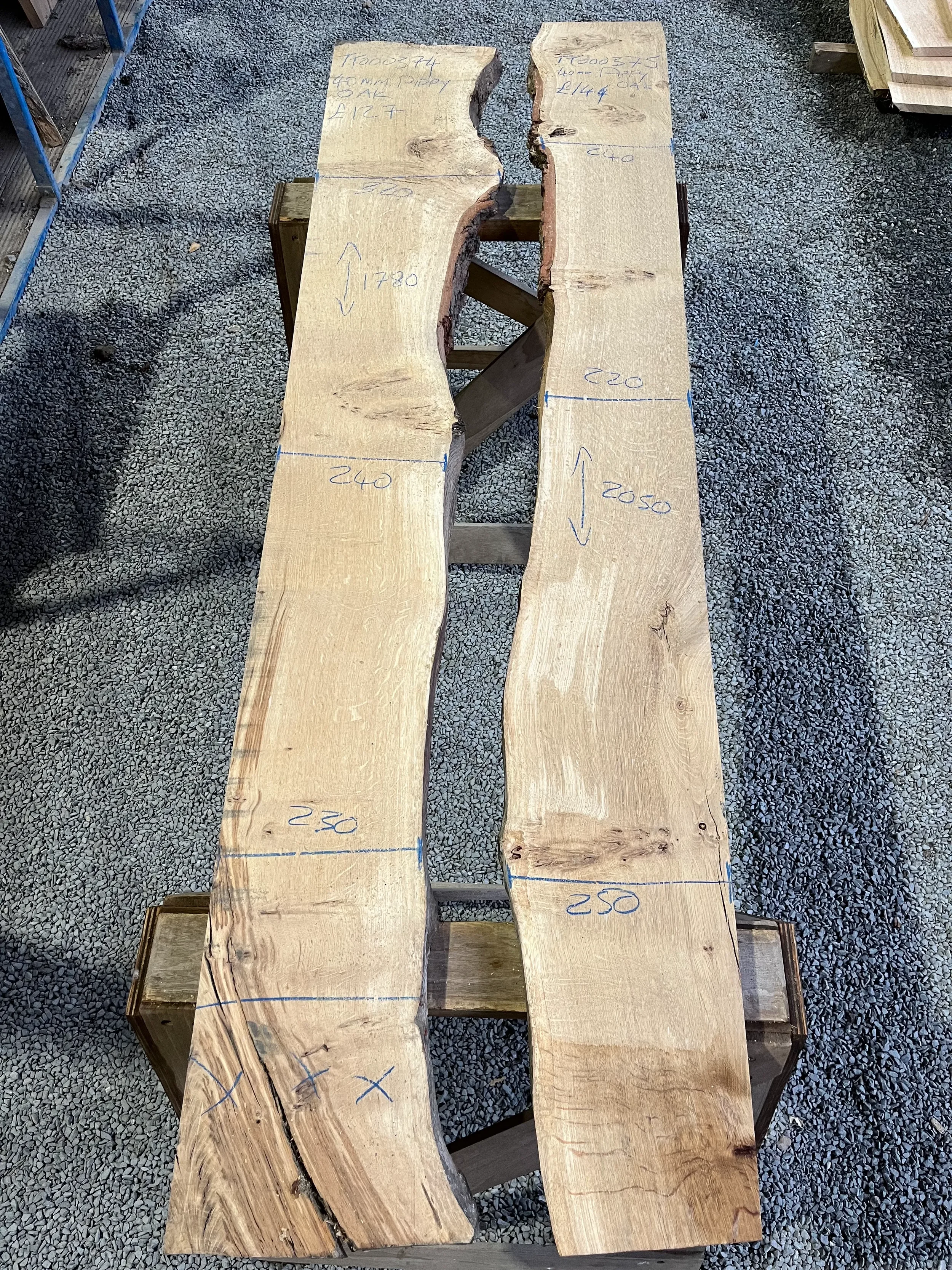 pippy tt000374&375.webp (Copy)