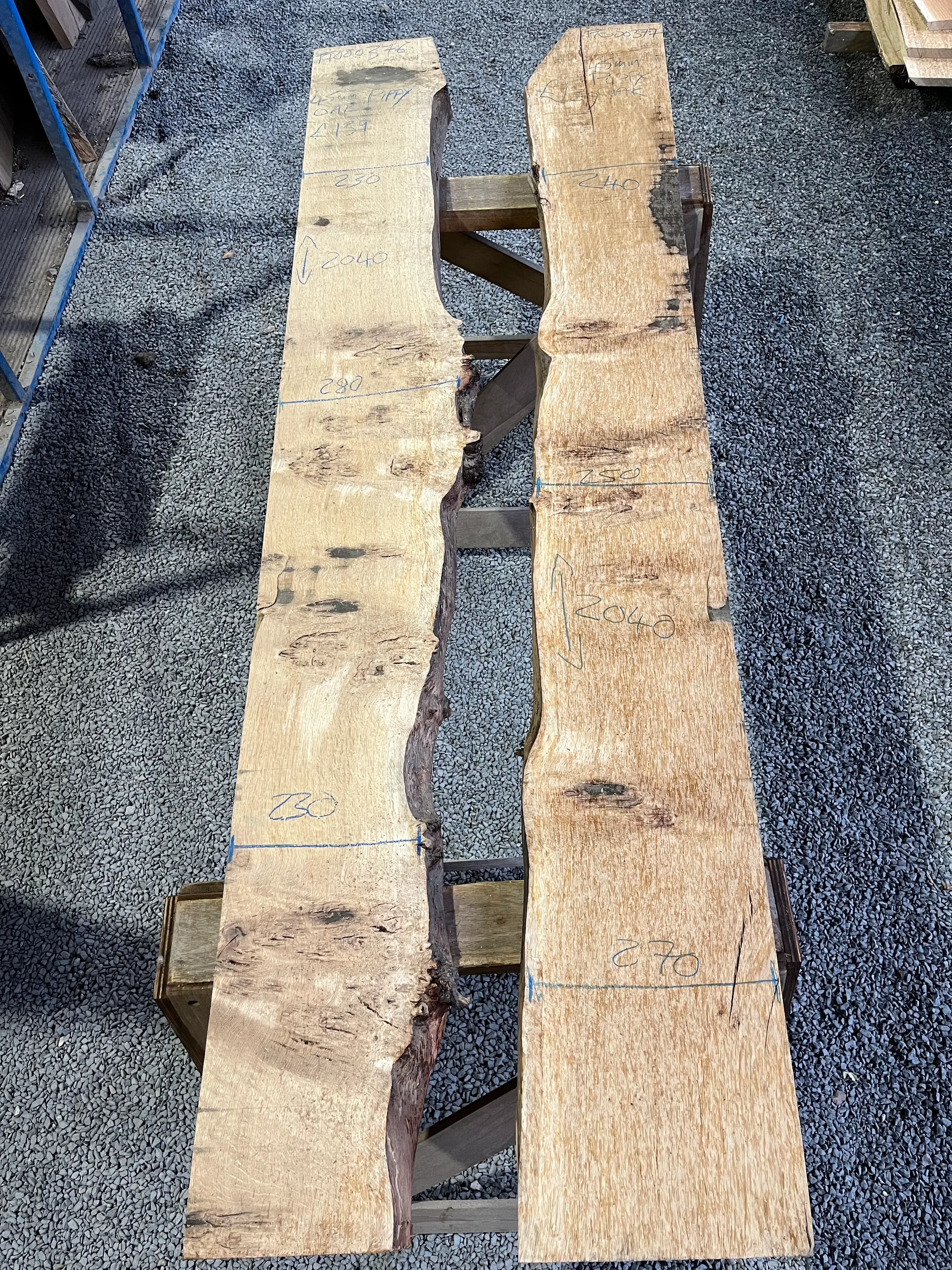 pippy tt000376&377.webp (Copy)