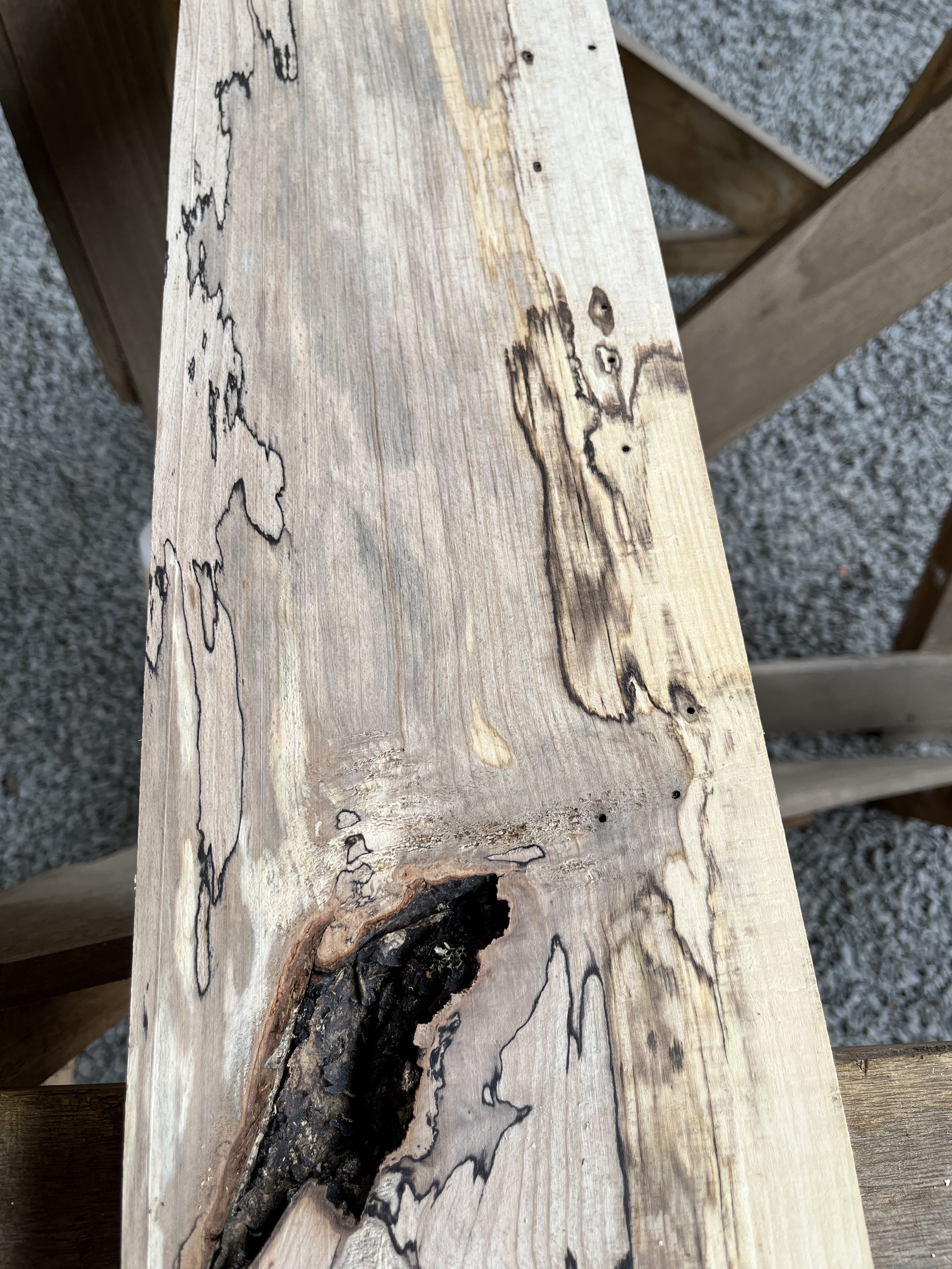 spalted beech se000287.2.jpeg