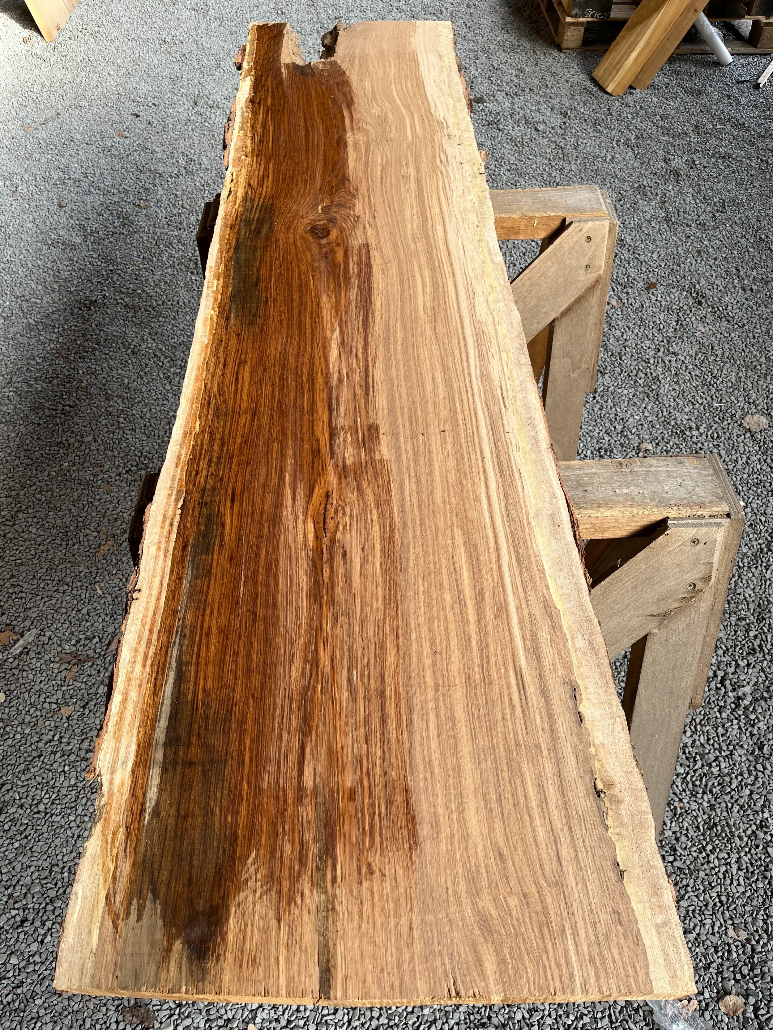 brown oak tt000467.2.webp