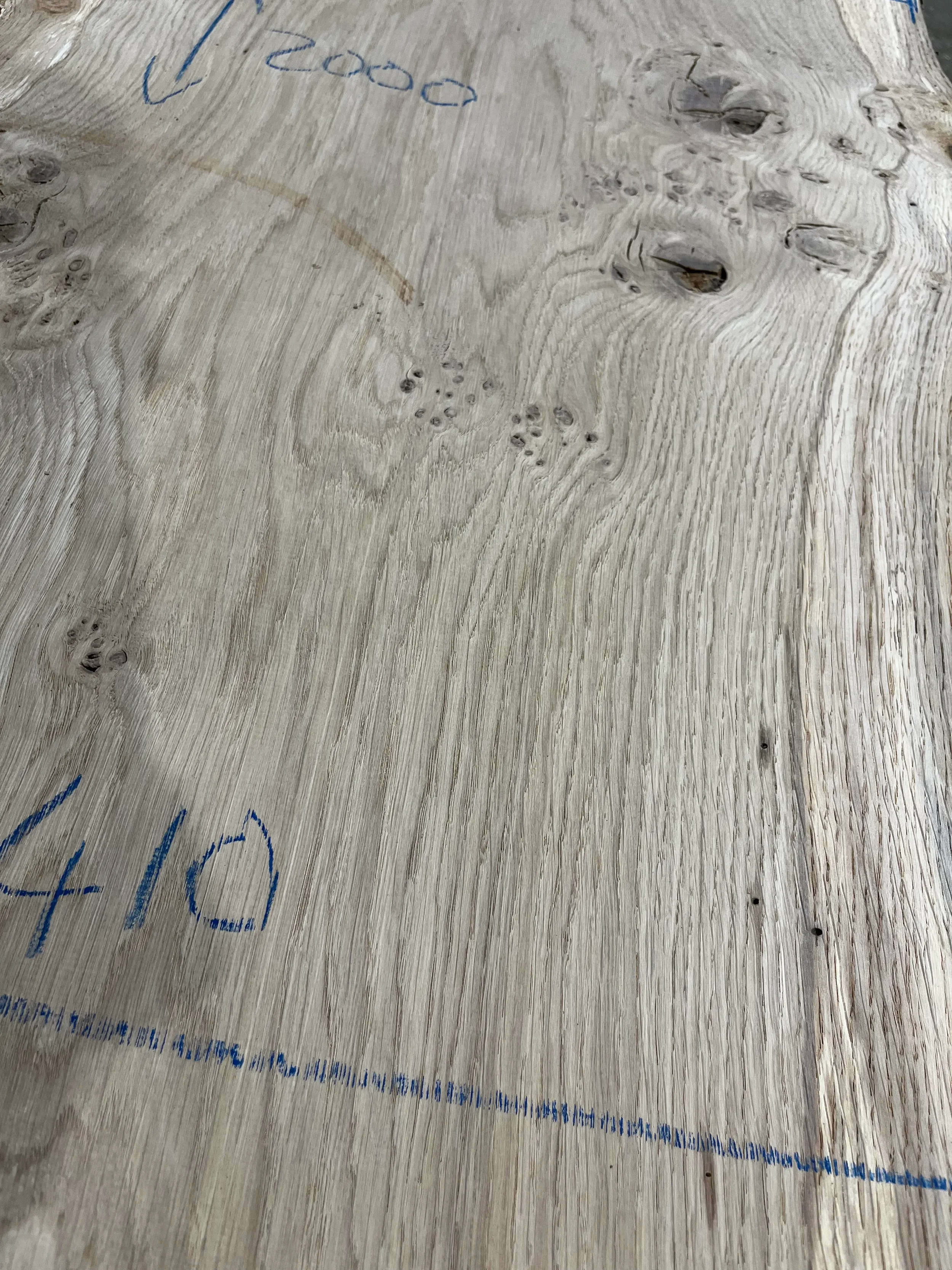 pippy tt000355.2.webp