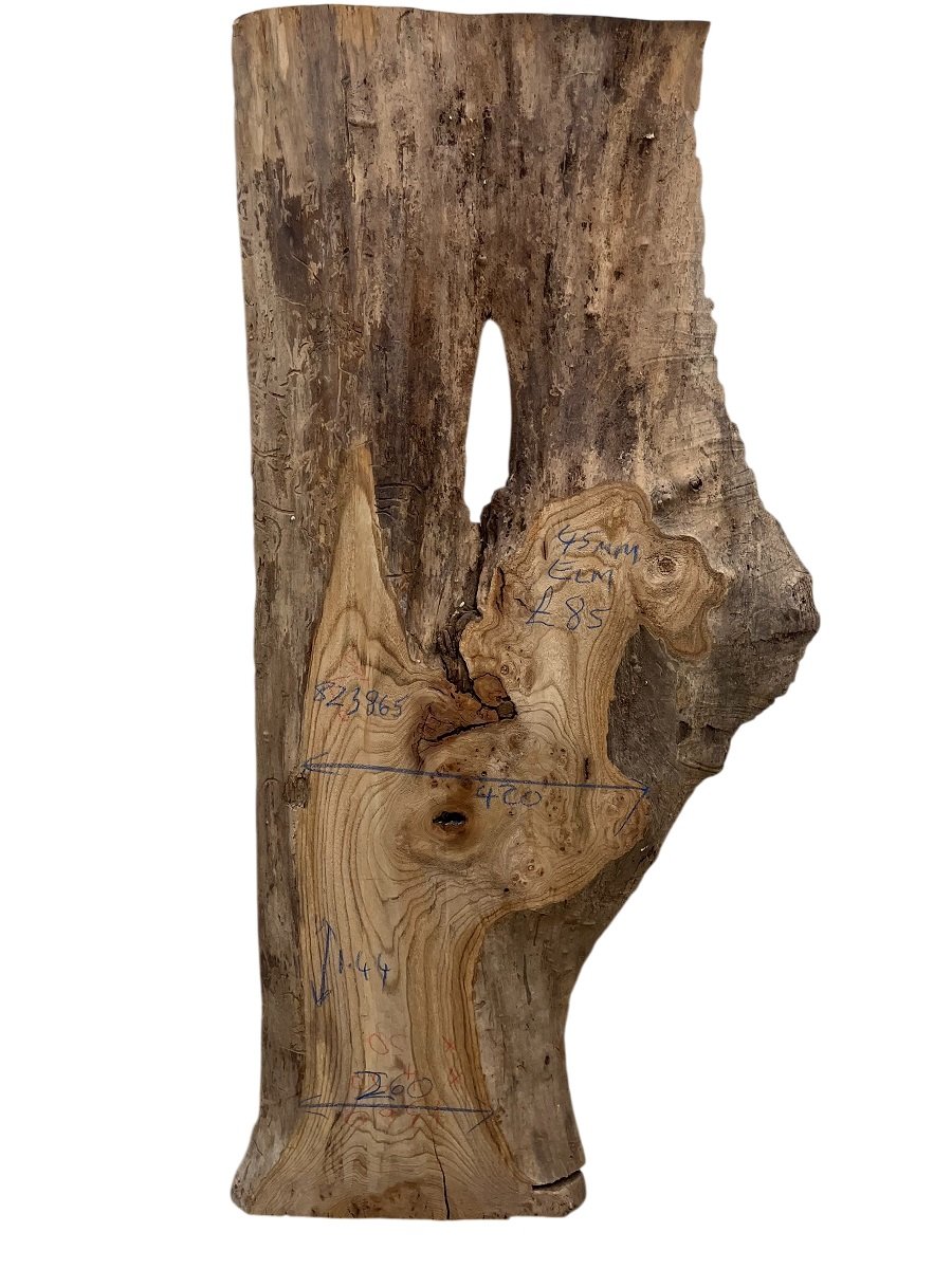 Elm Live Edge Board 45mm