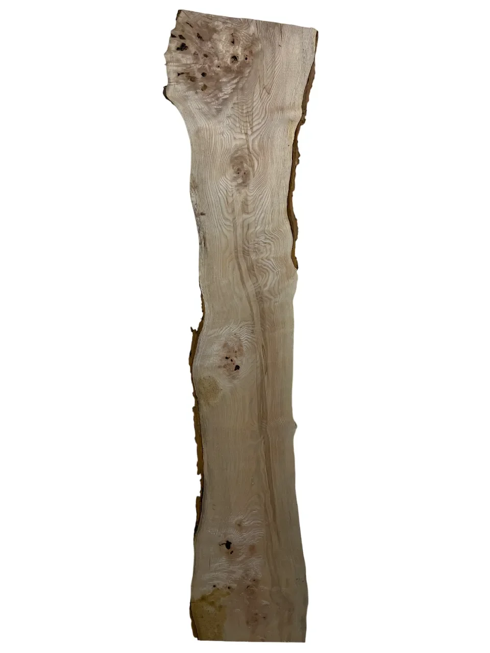 ash tt000321.1-Photoroom.webp