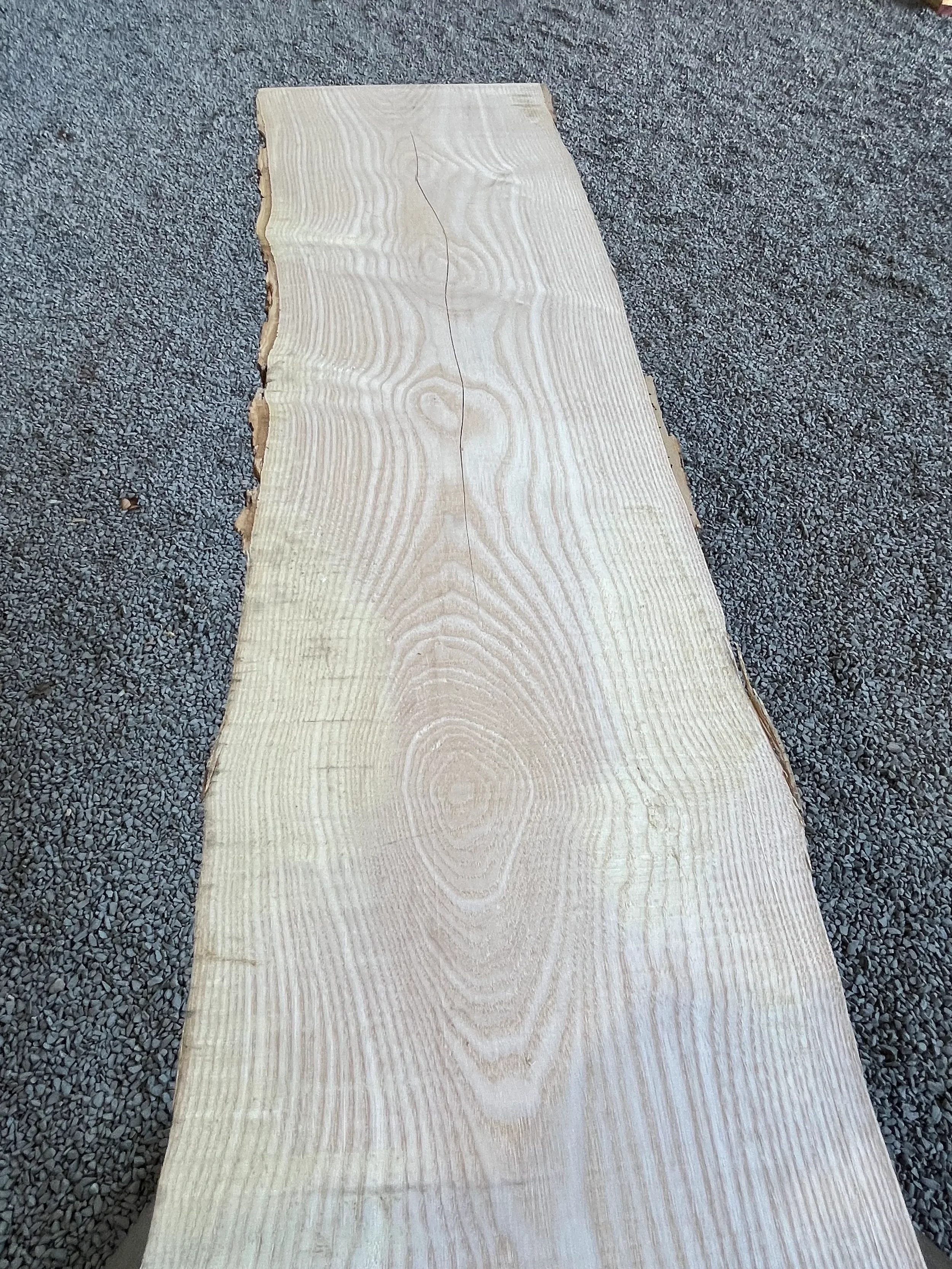 ash tt000404.3.webp
