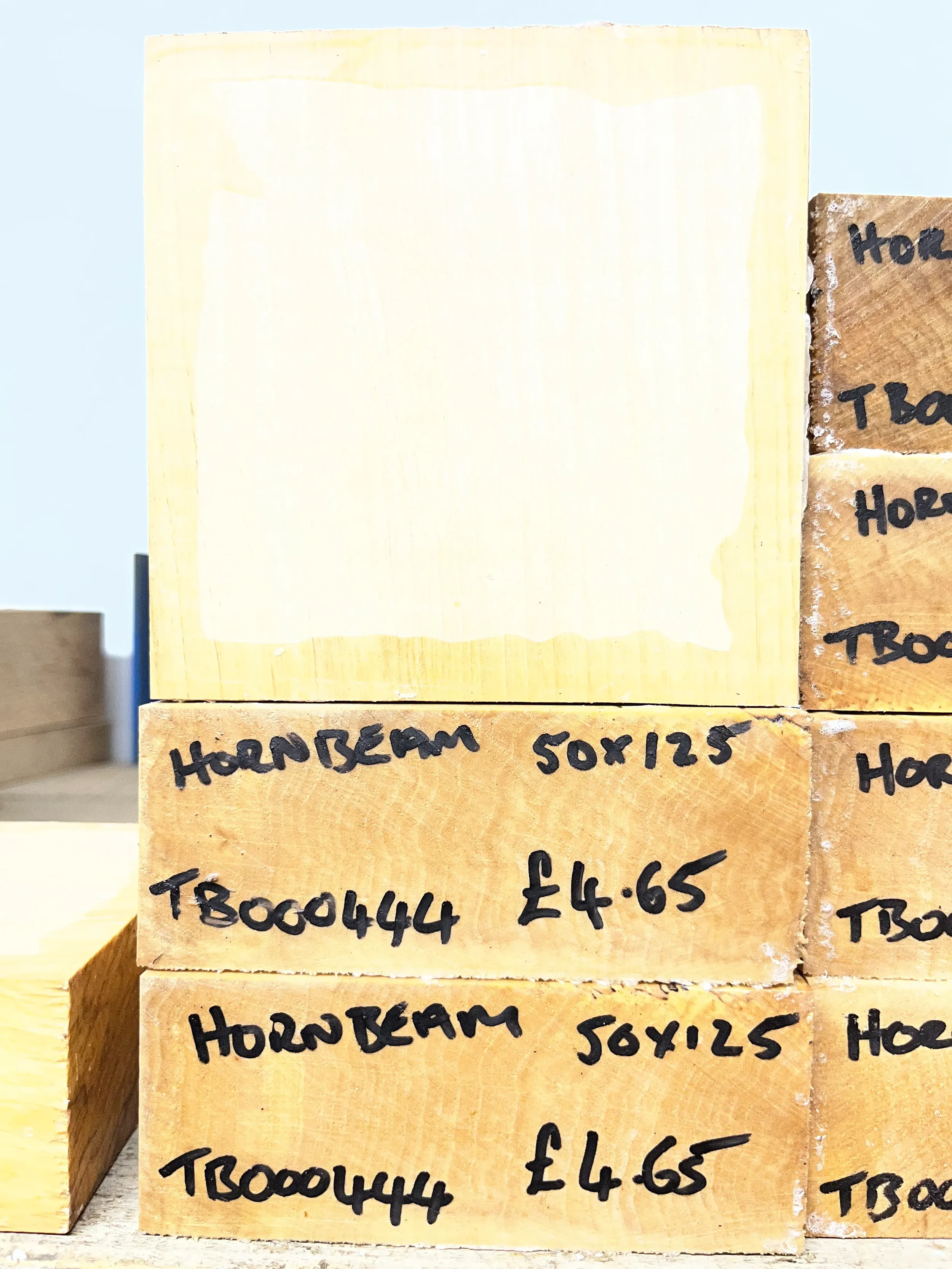 hornbeam1.webp