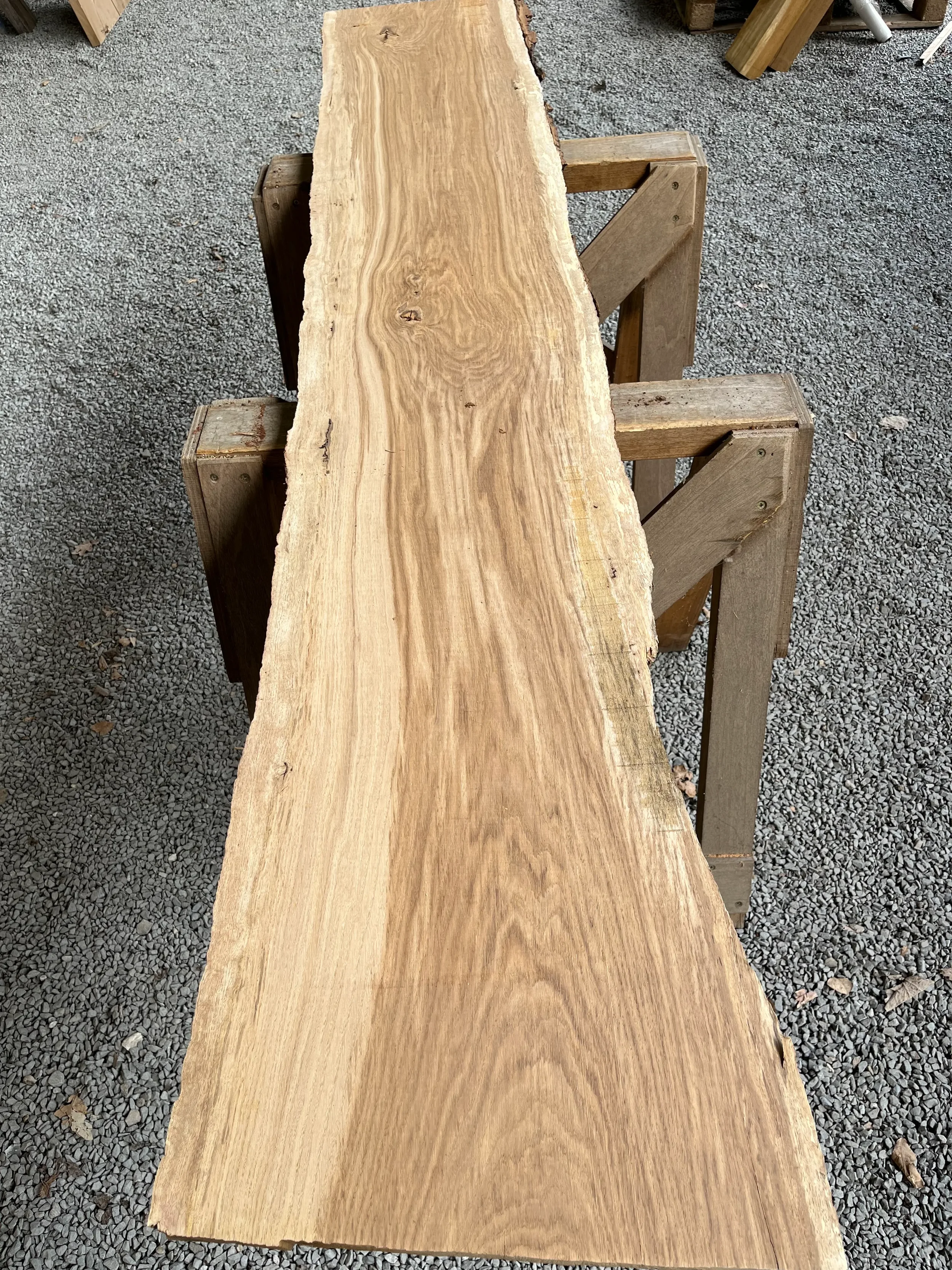brown oak tt000478.2.webp