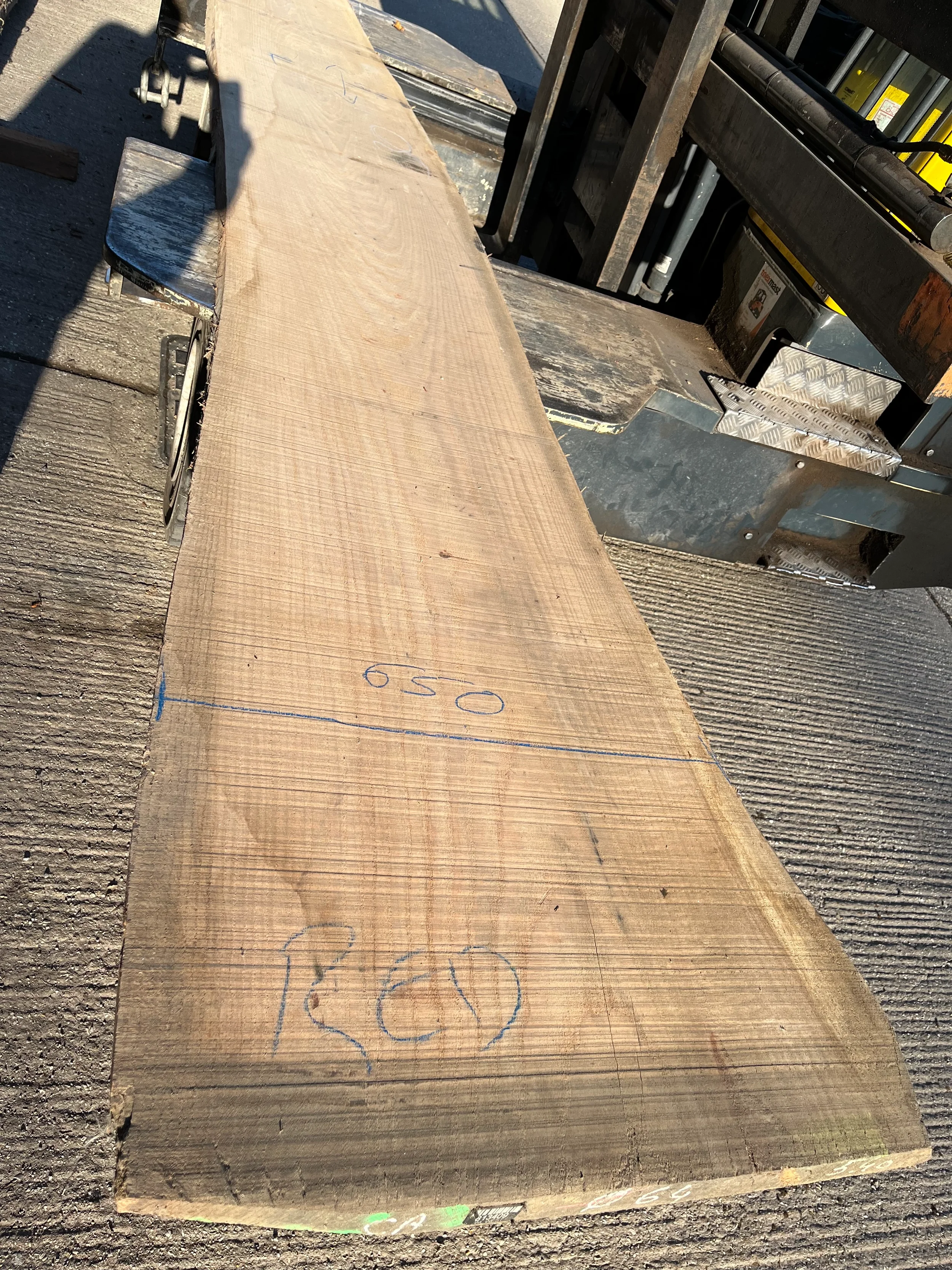 red oak 813409 3.webp