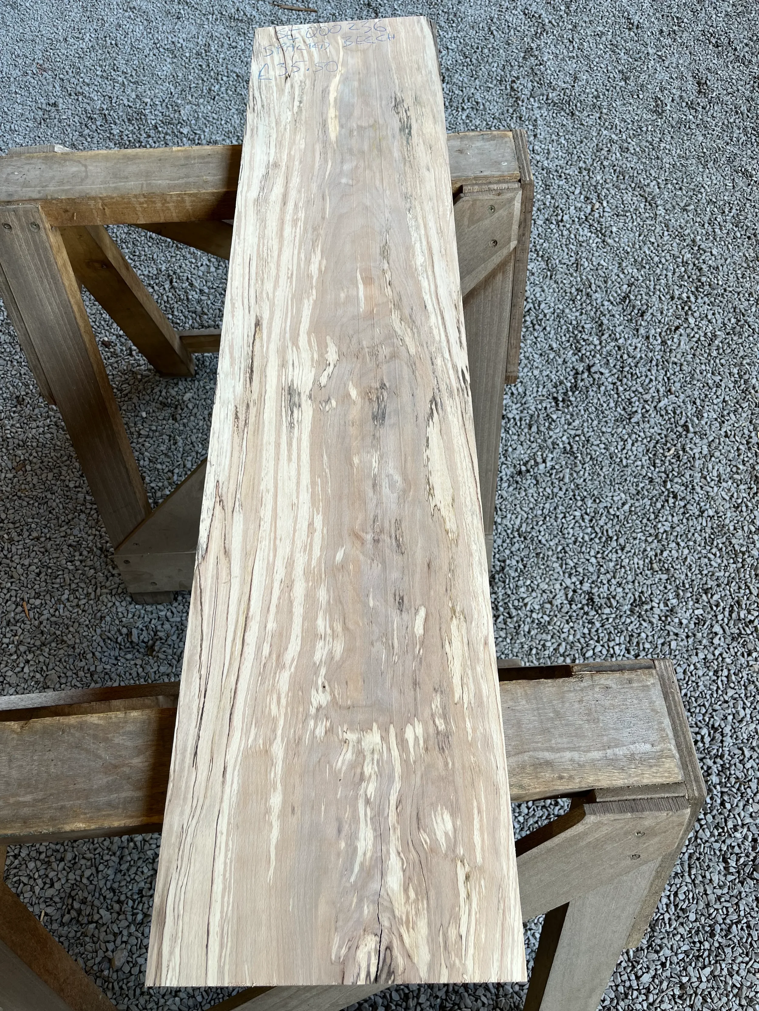 spalted beech se236.1.webp