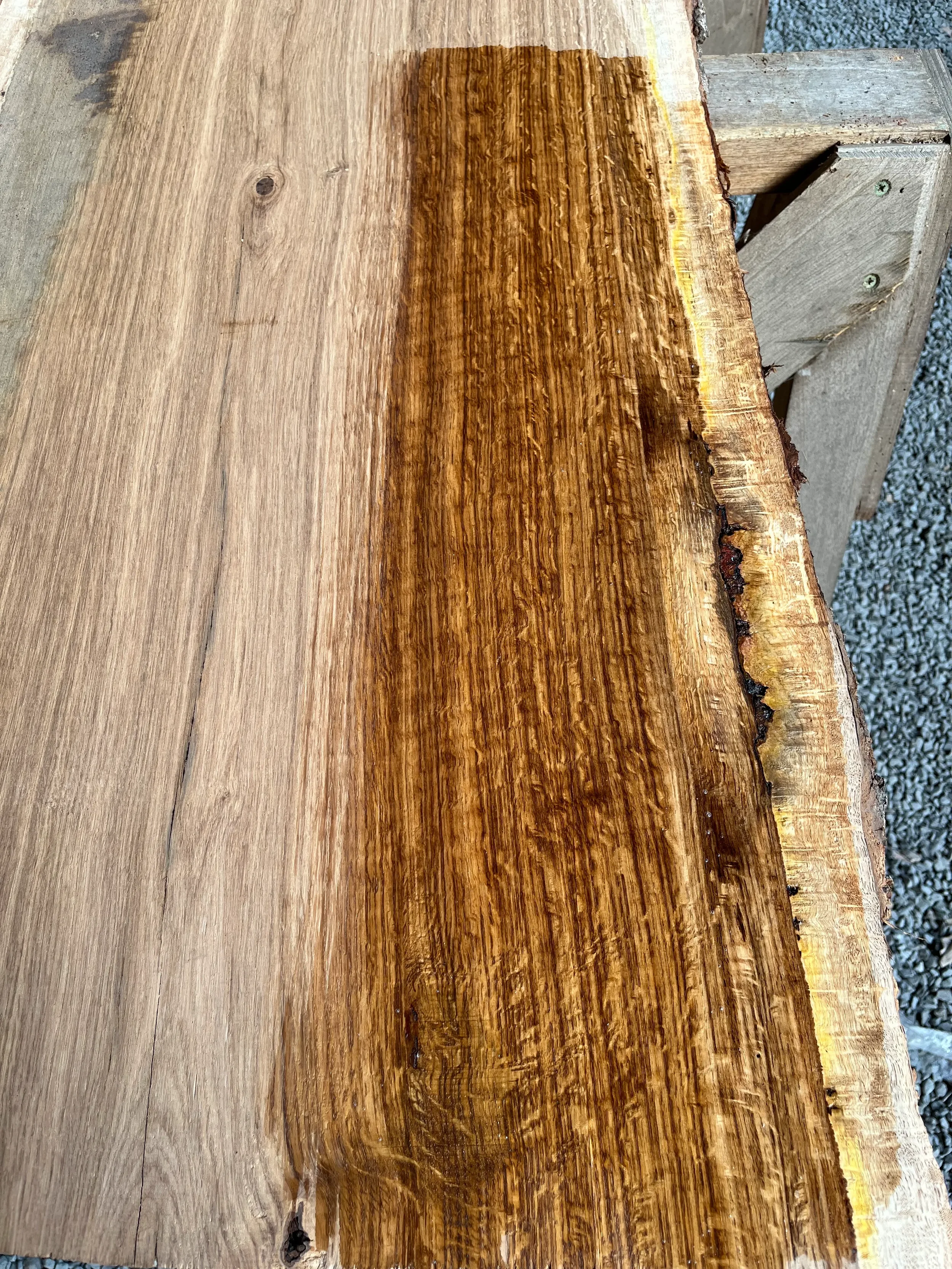 brown oak tt000468.2.webp