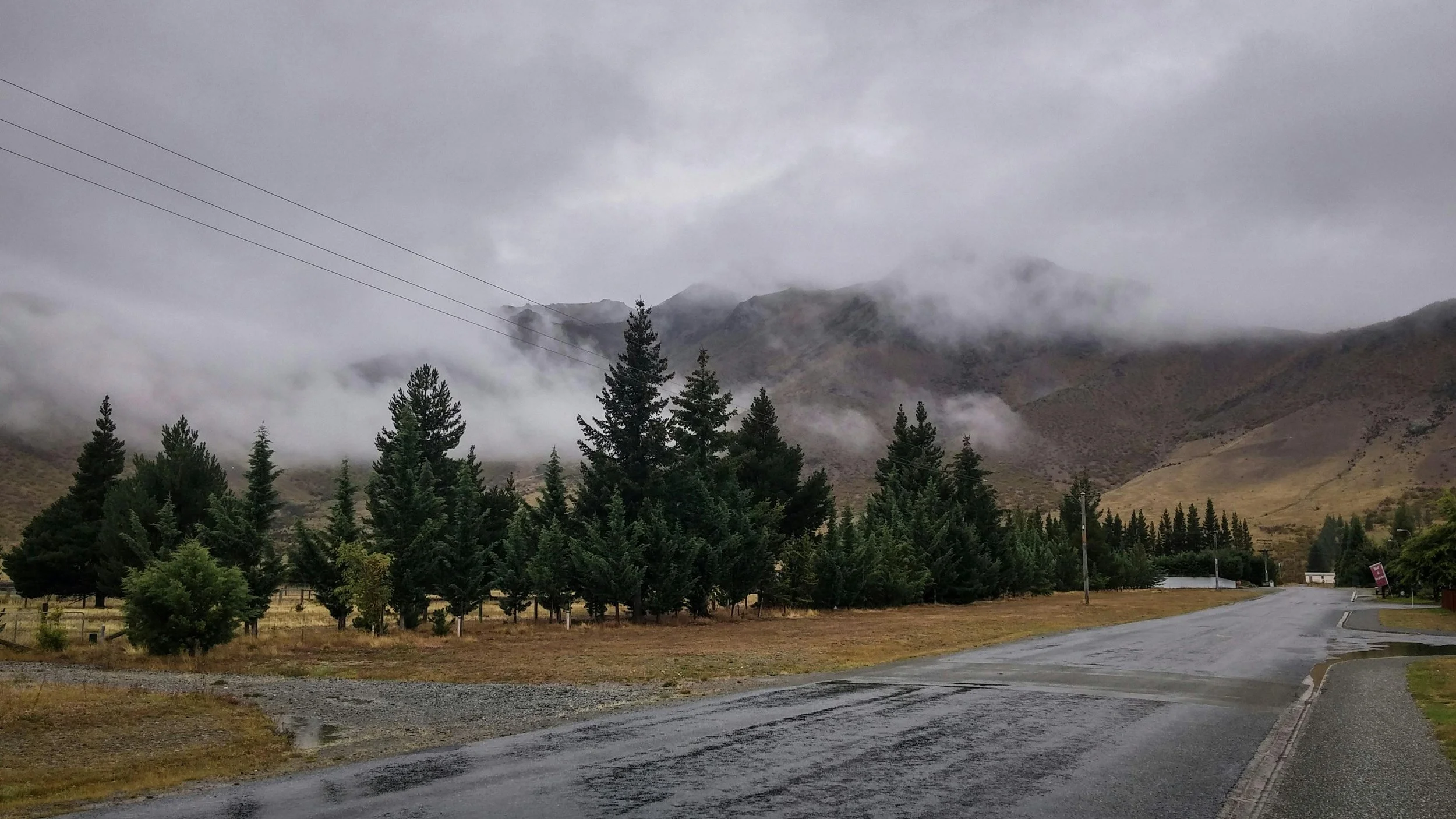 What is Thermo Radiata Pine — and Is It Worth It?