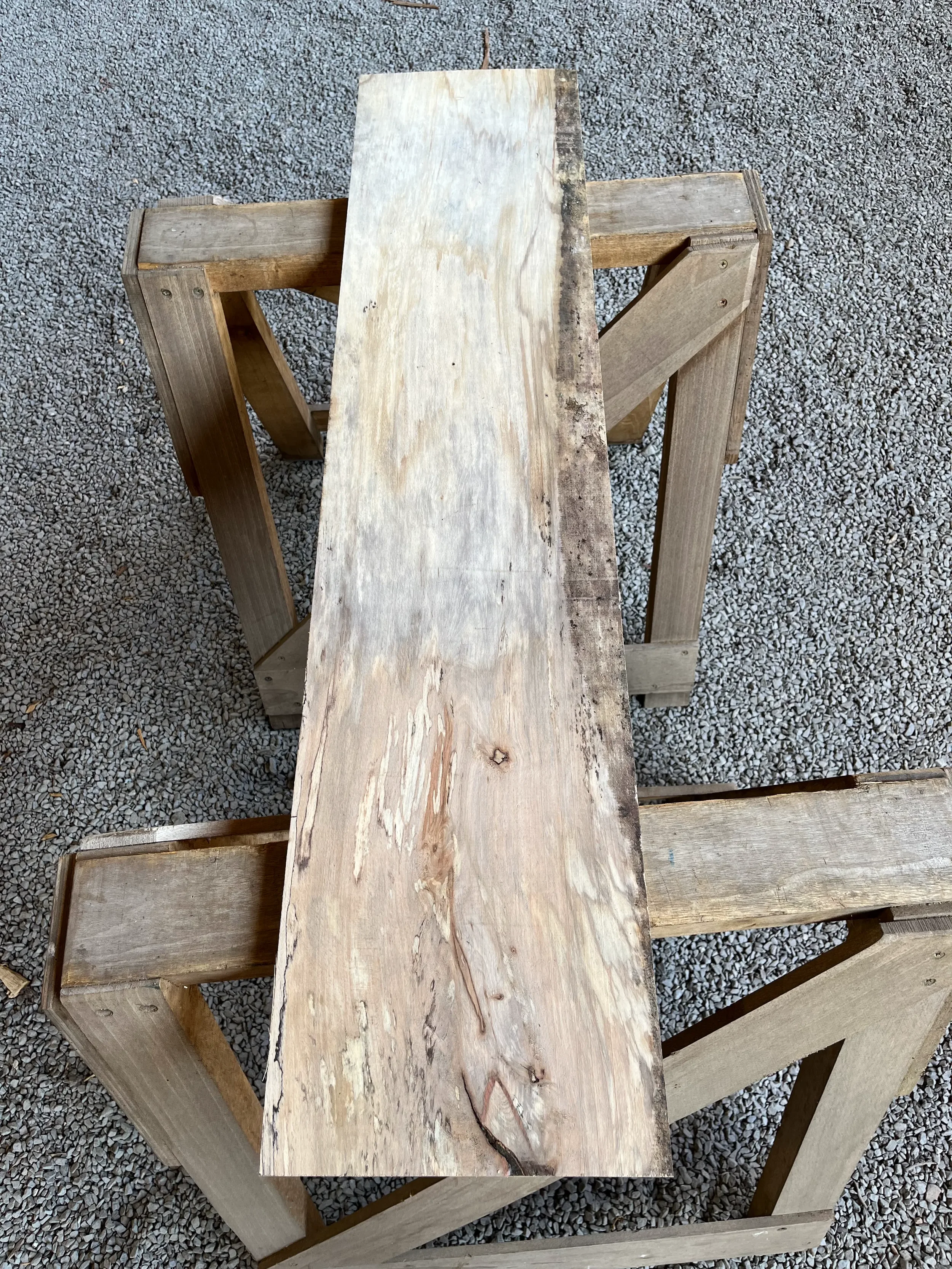 spalted beech se245.1.webp