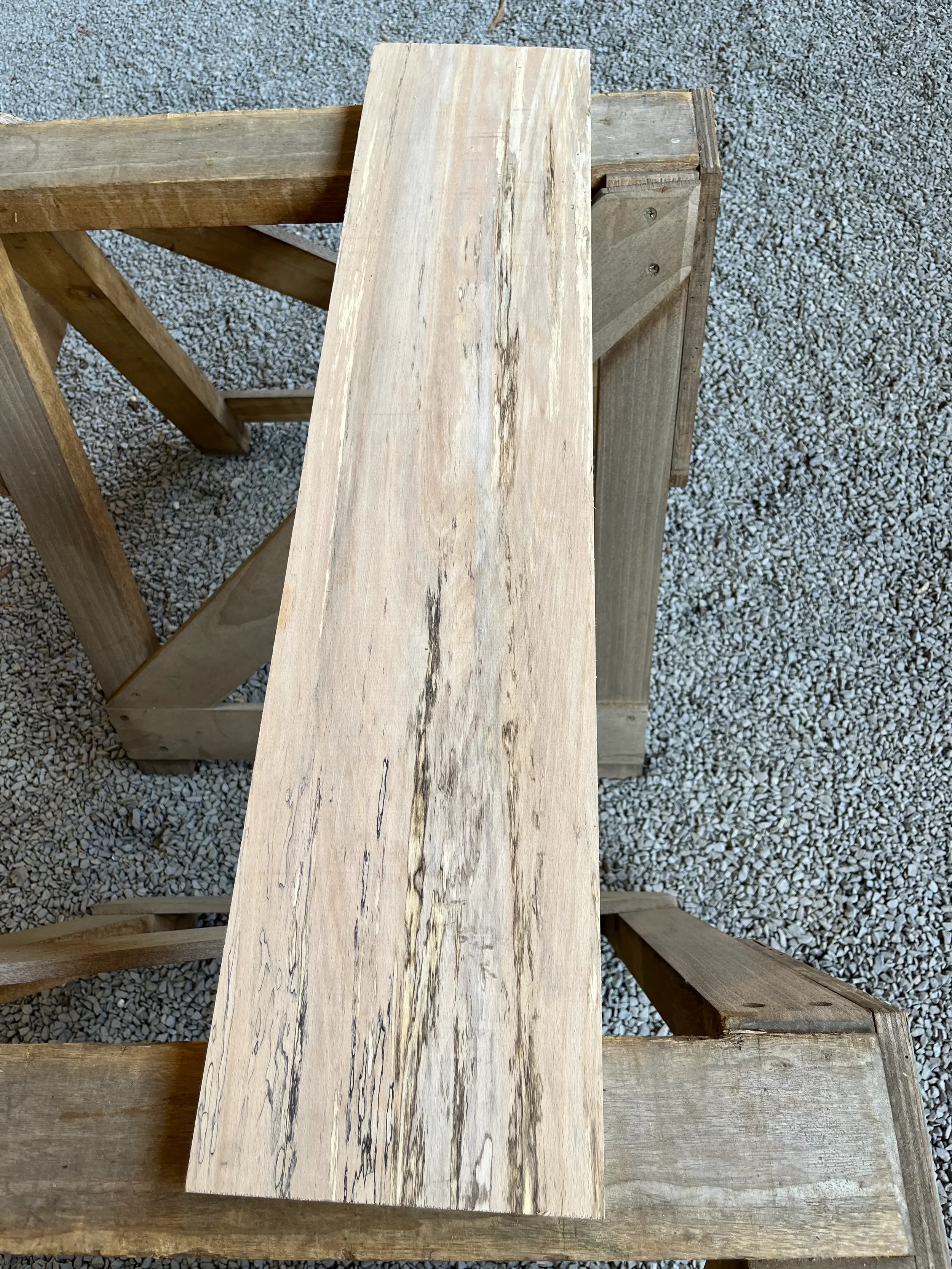 spalted beech se231.1.webp