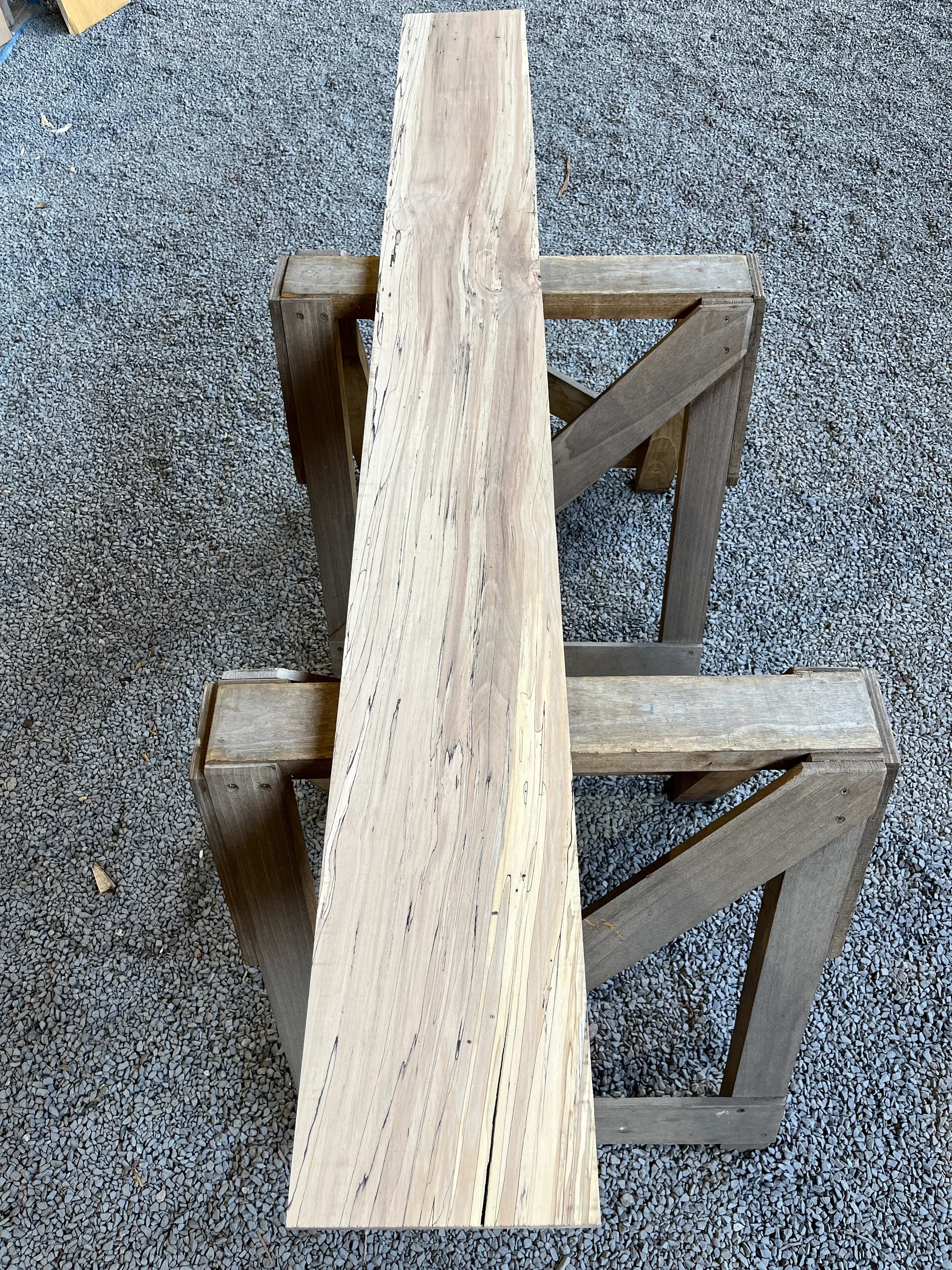 spalted beech se276.1.webp