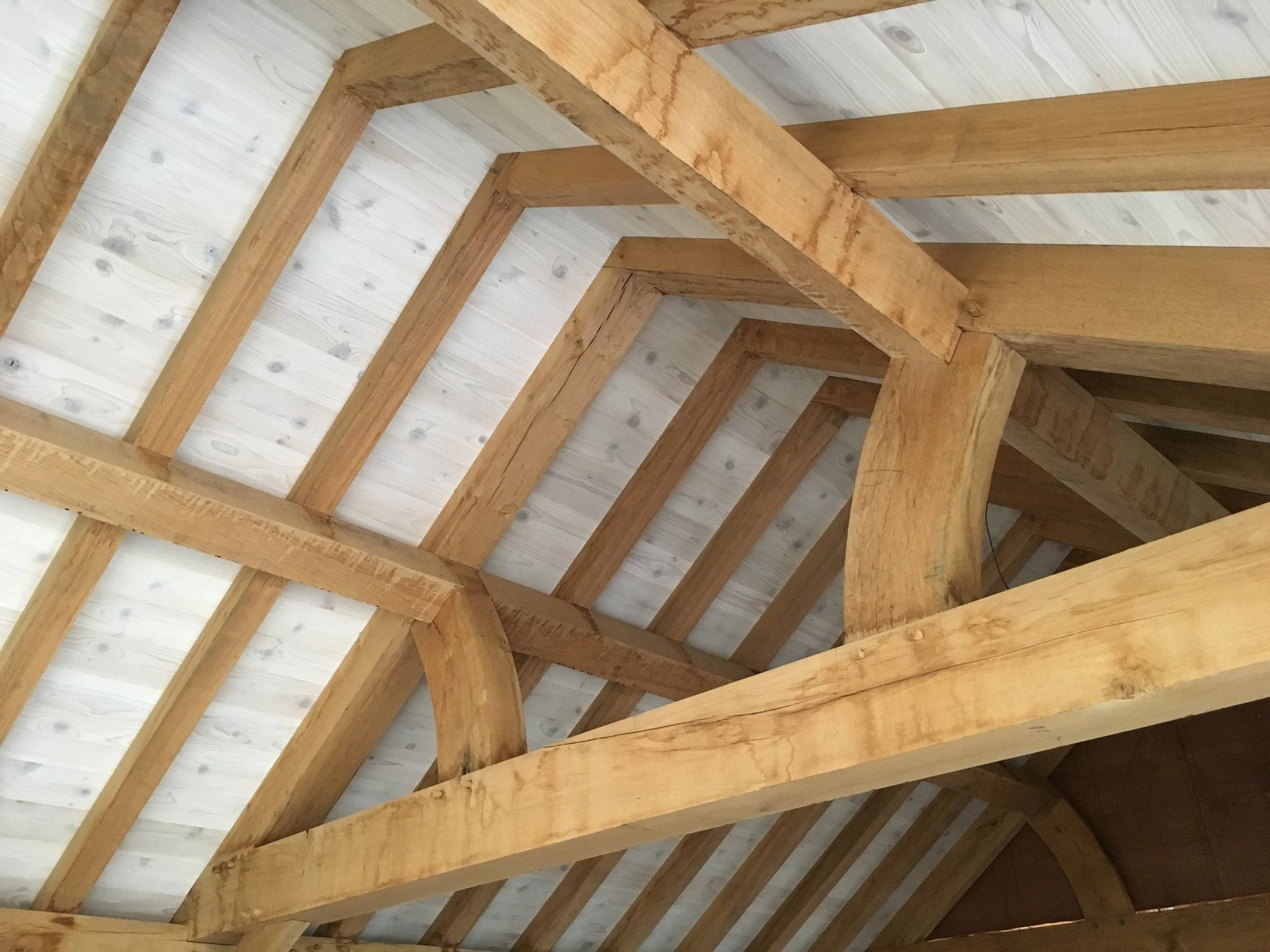 Oak blogs | West Sussex | WL West & Sons