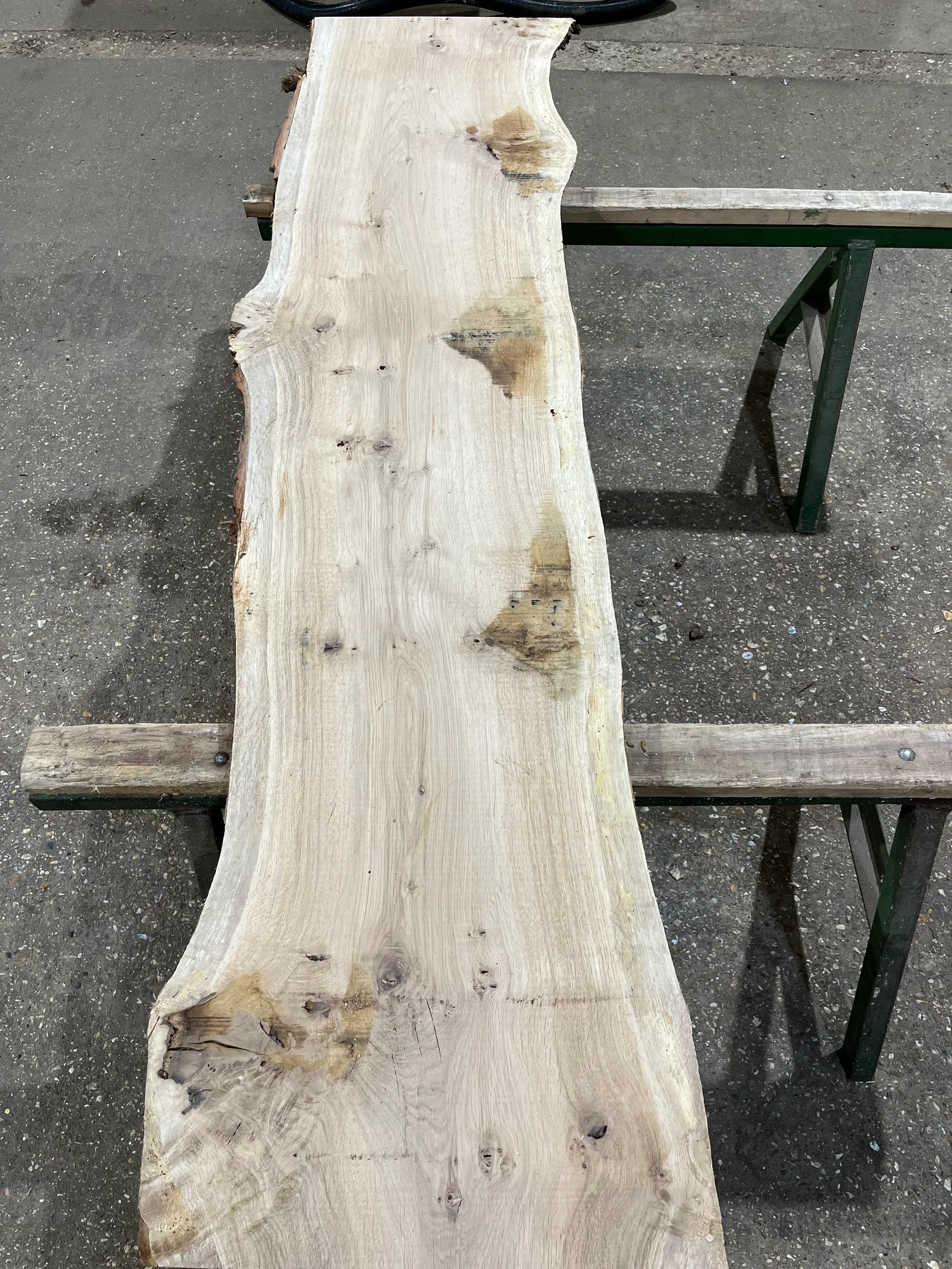 pippy tt000336.1.webp