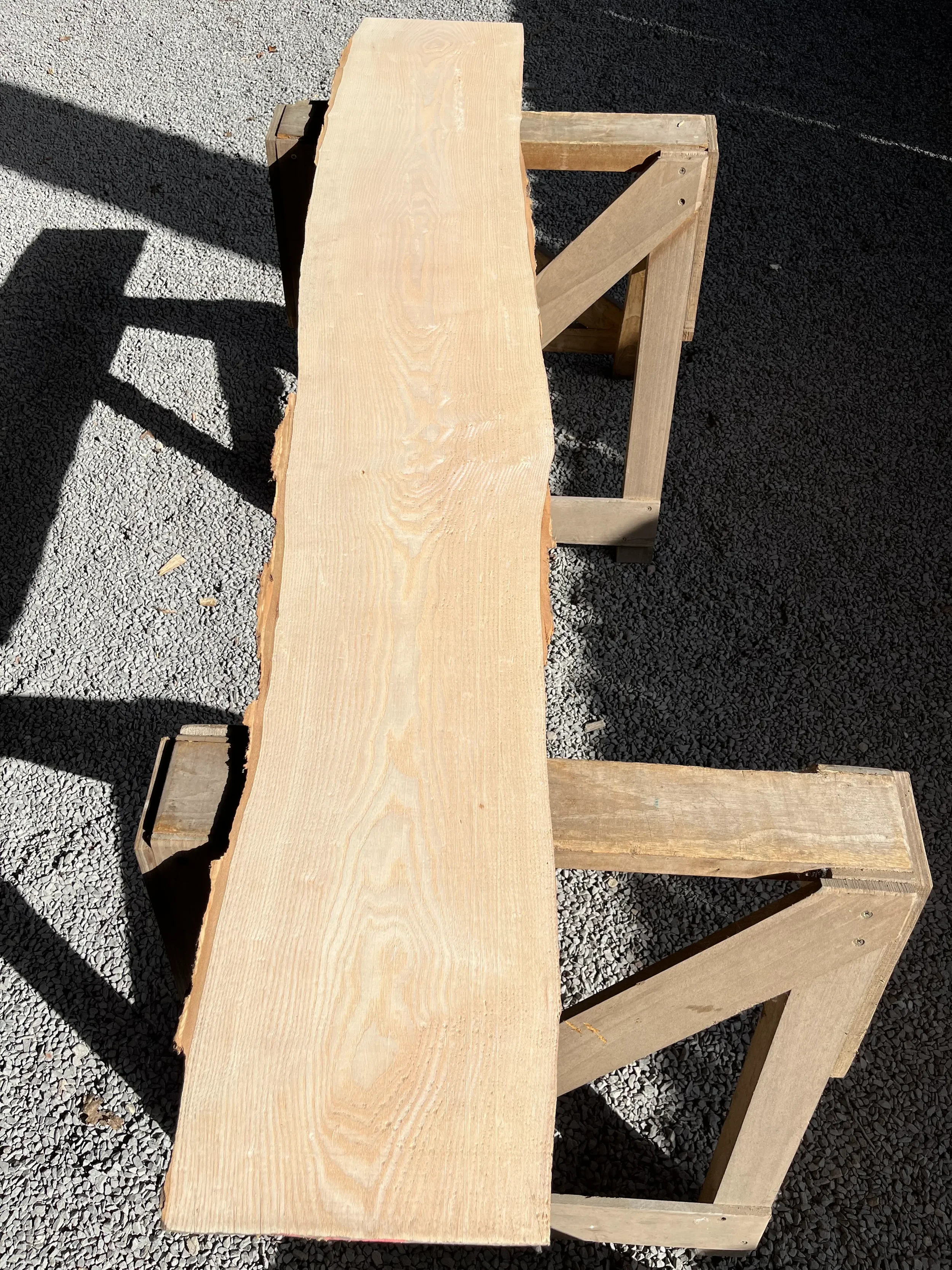 ash tt000414.webp