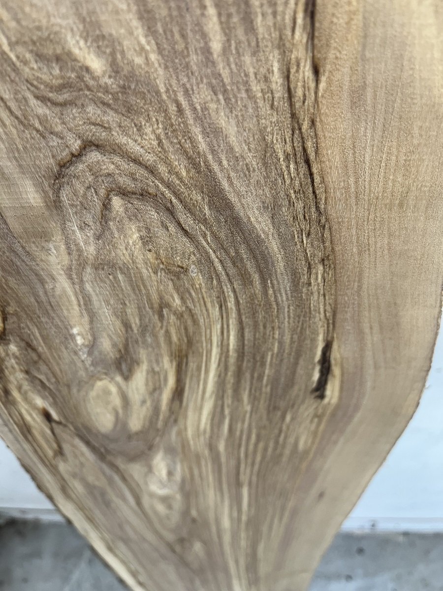 live edge olive tt000208.2.jpeg