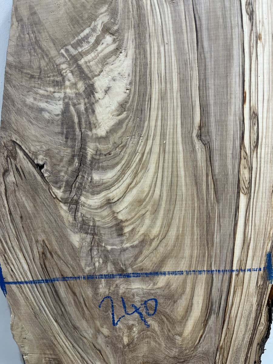 live edge olive tt000209.1.jpeg