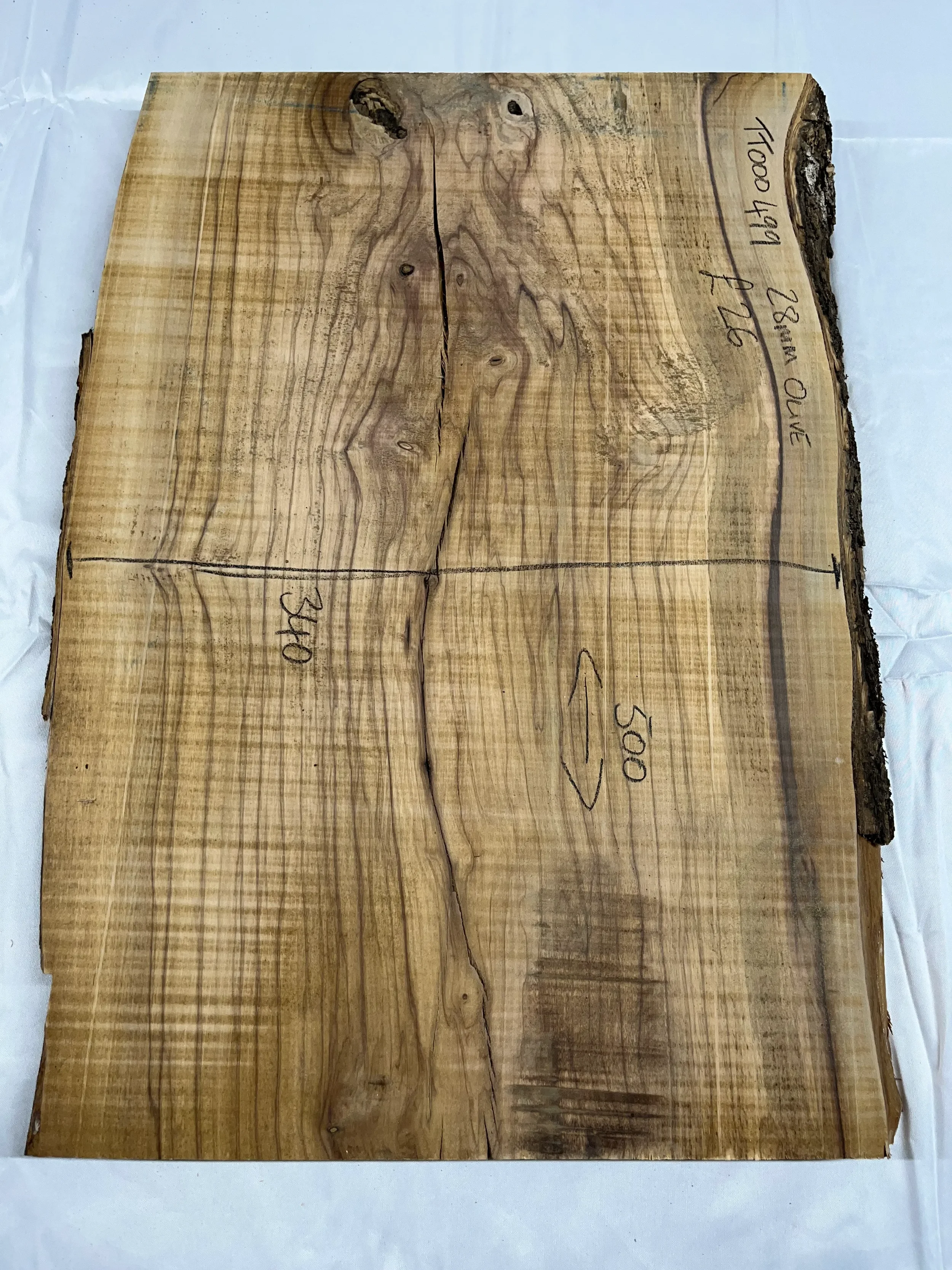 olive tt000499.webp