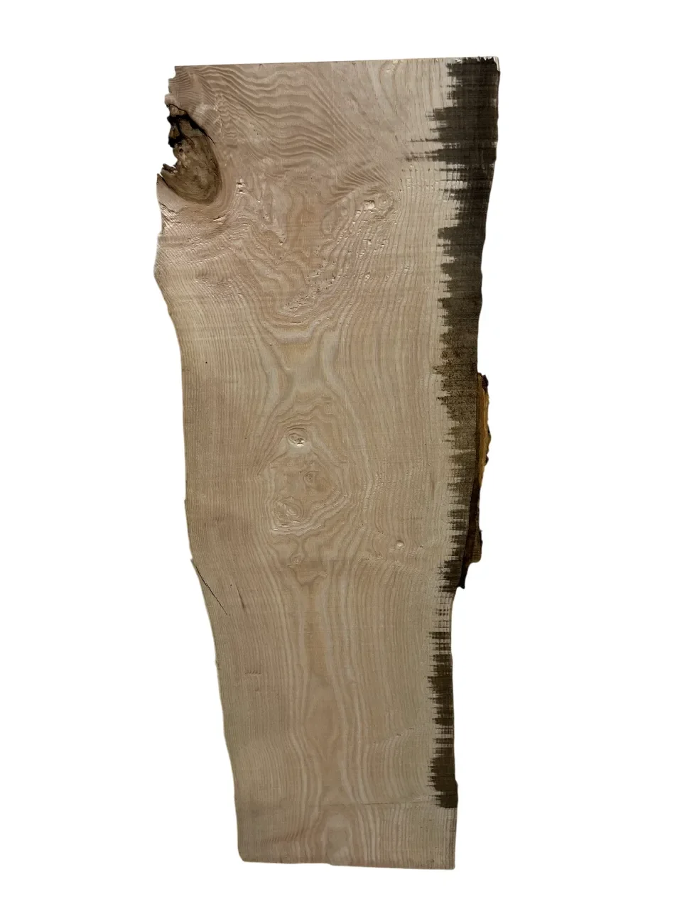 ash tt000317.1-Photoroom.webp