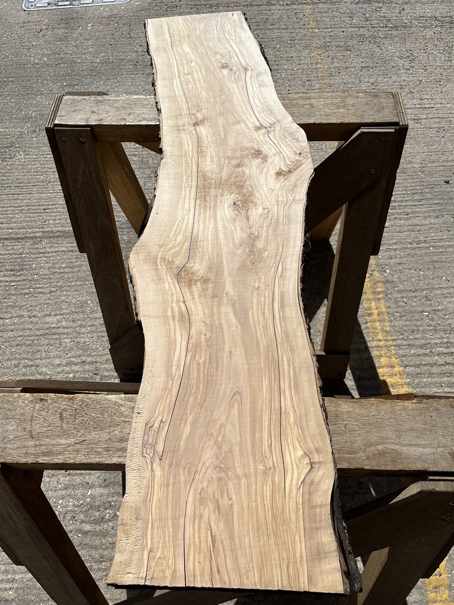 live edge olive tt000187.1.jpeg