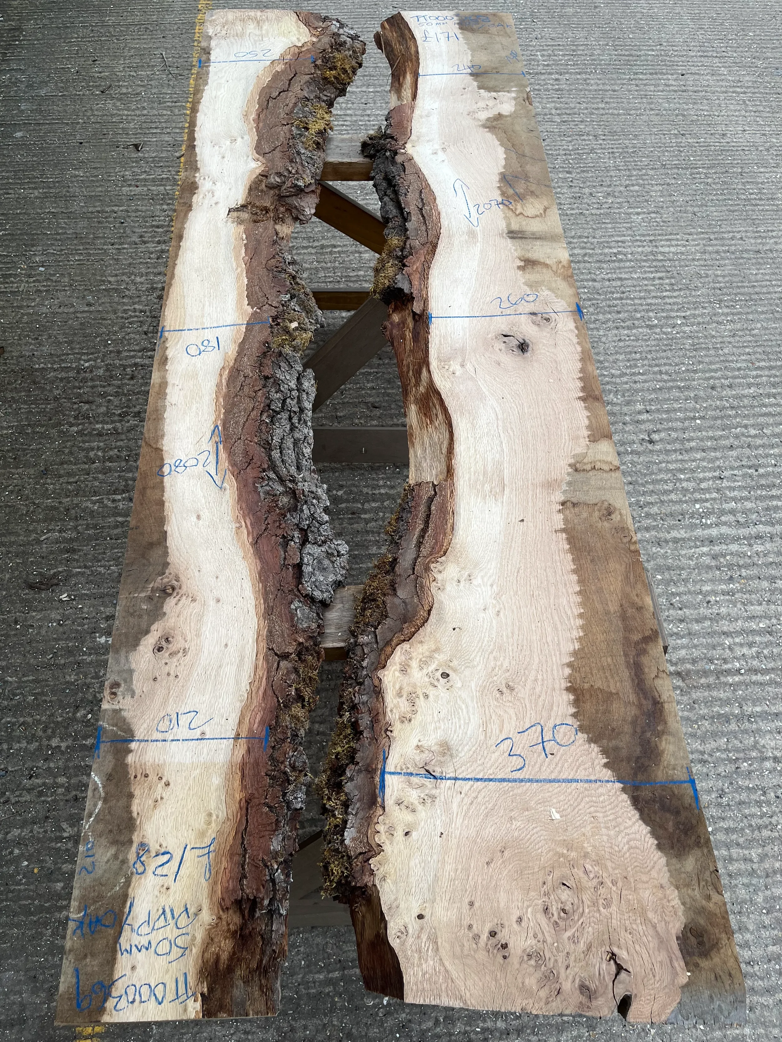 pippy tt000368&369.webp (Copy)