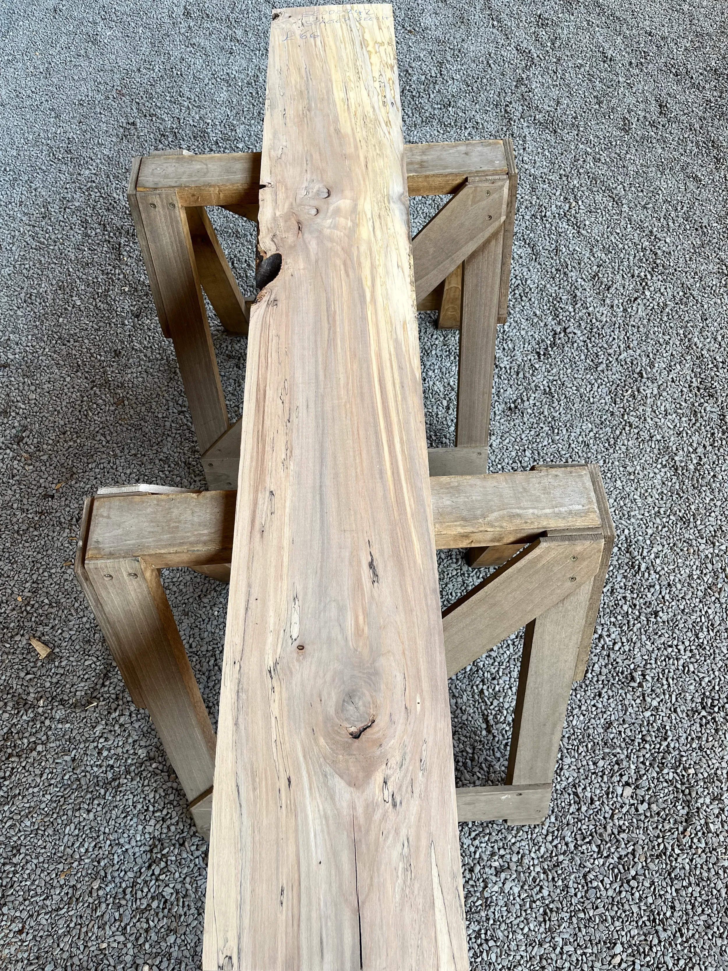 spalted beech se242.1.webp