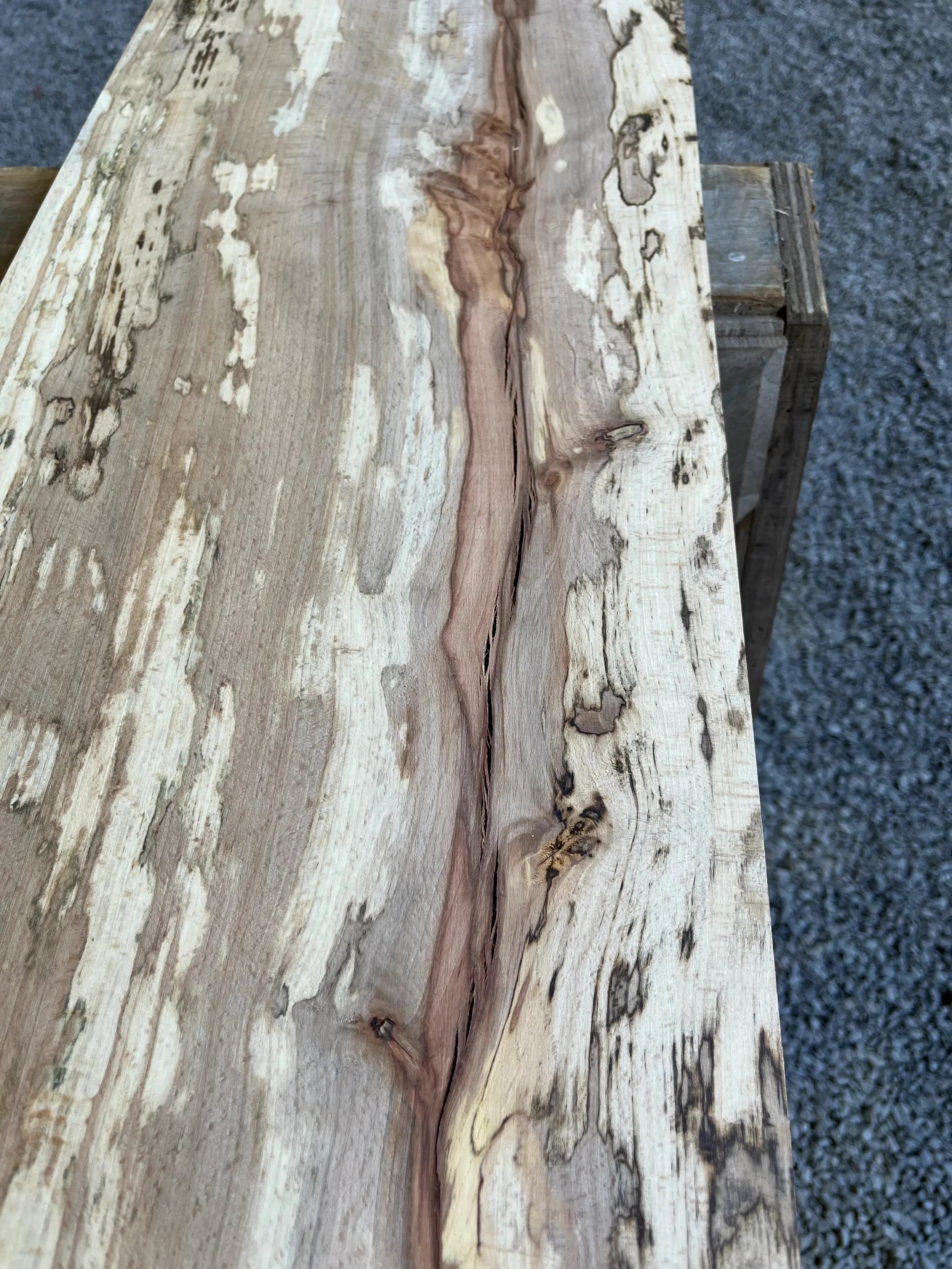 spalted beech se273.1.webp