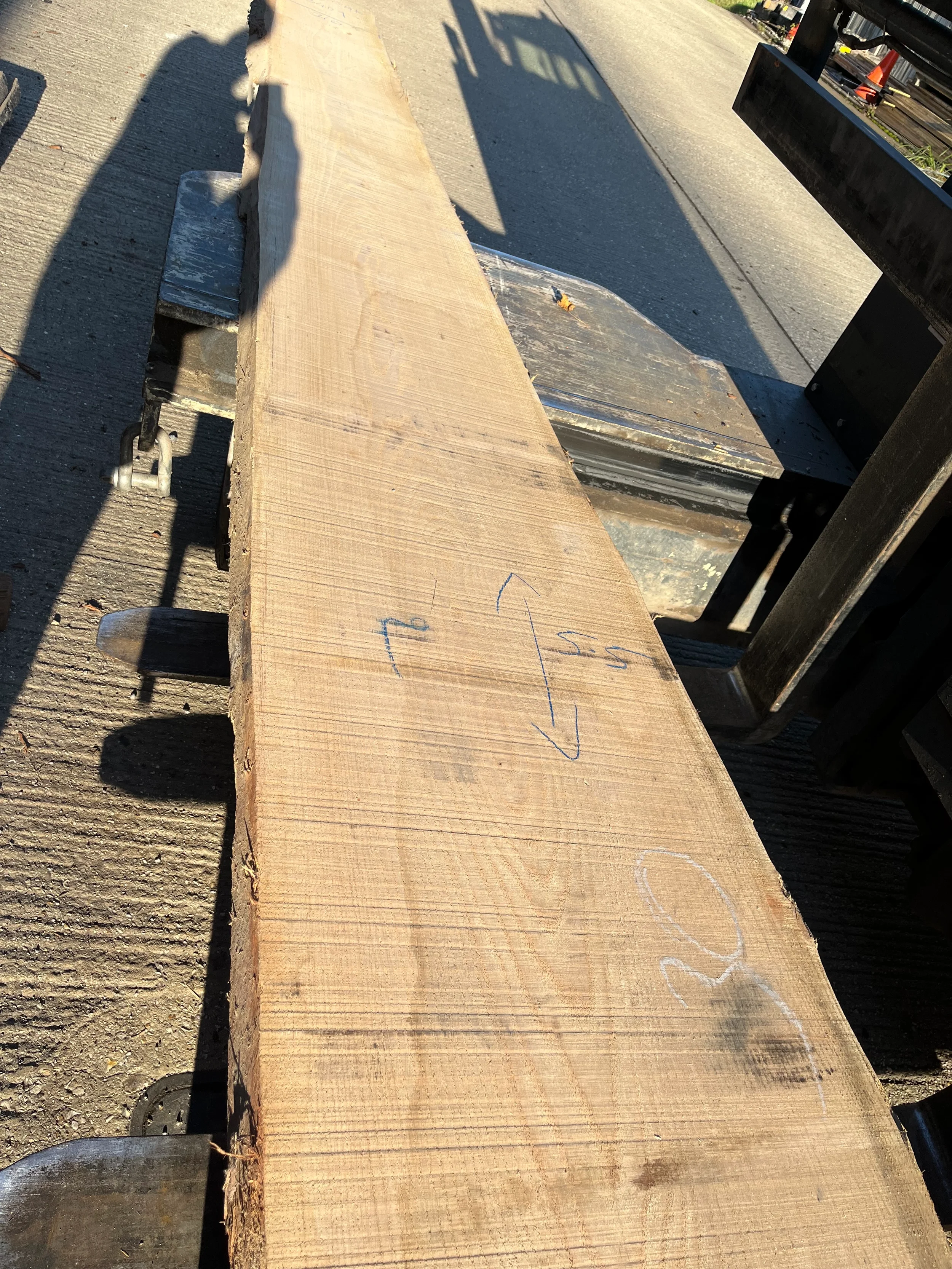 red oak 813409 2.webp