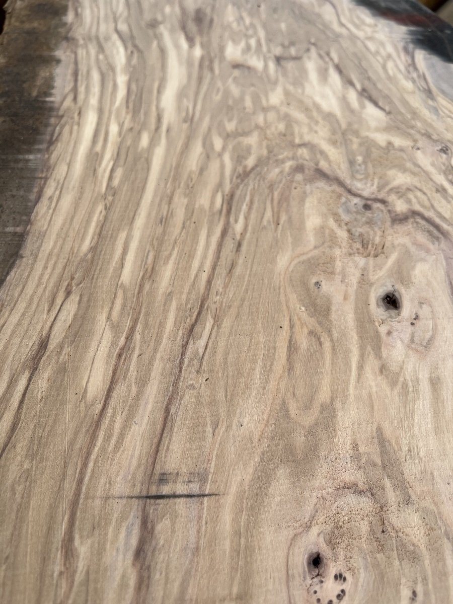 live edge olive tt000185.2.jpeg