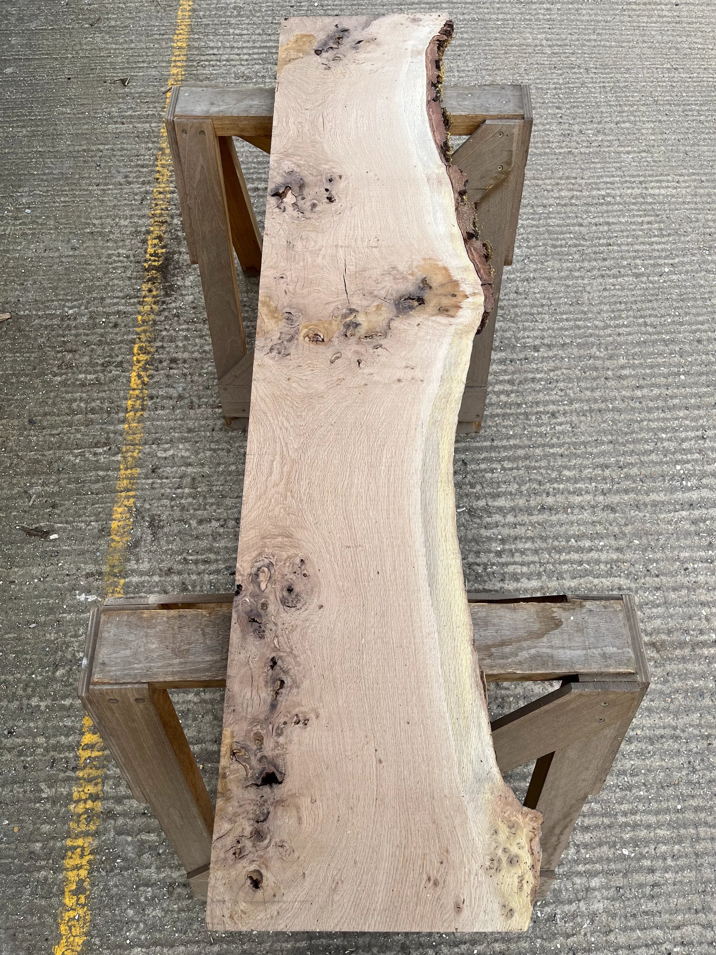 pippy tt000364.1.webp