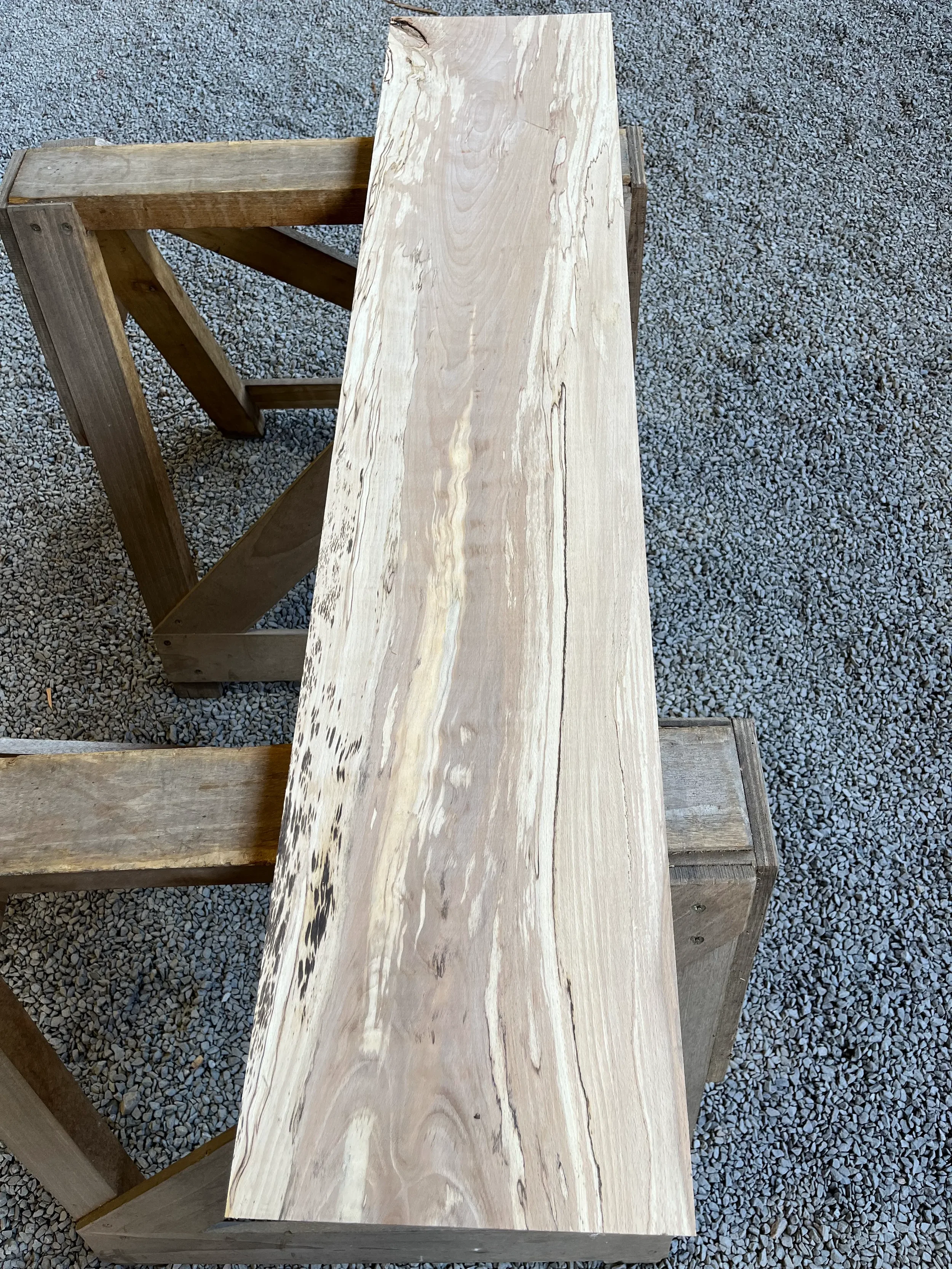 spalted beech se264.1.webp