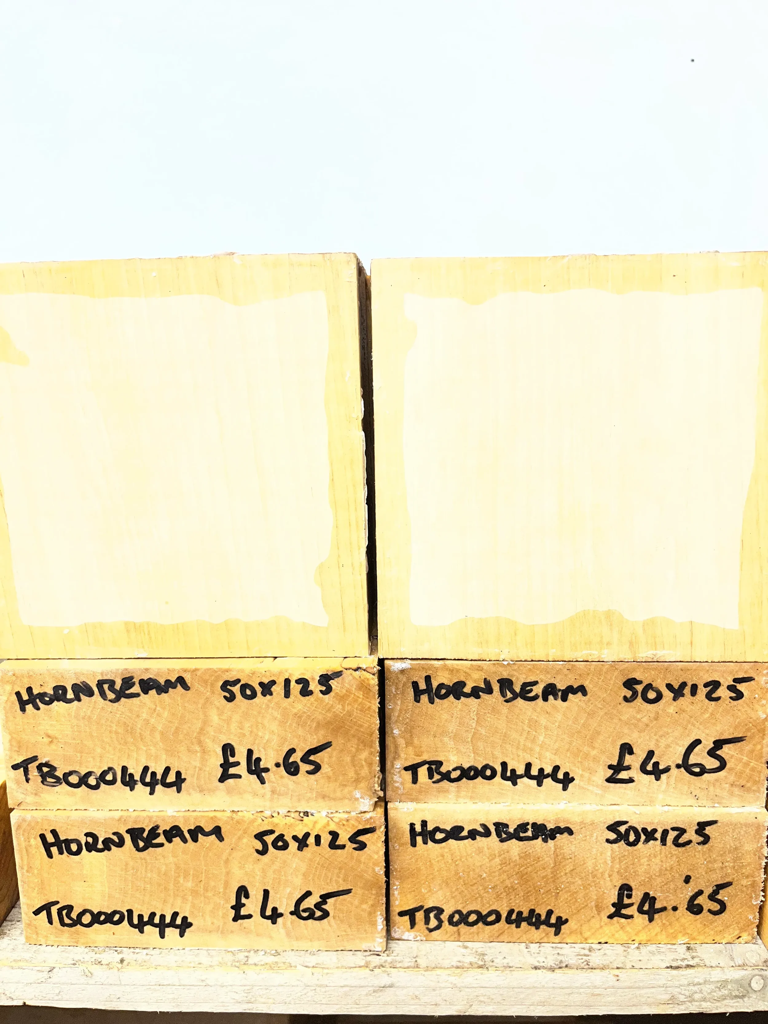 hornbeam2.webp