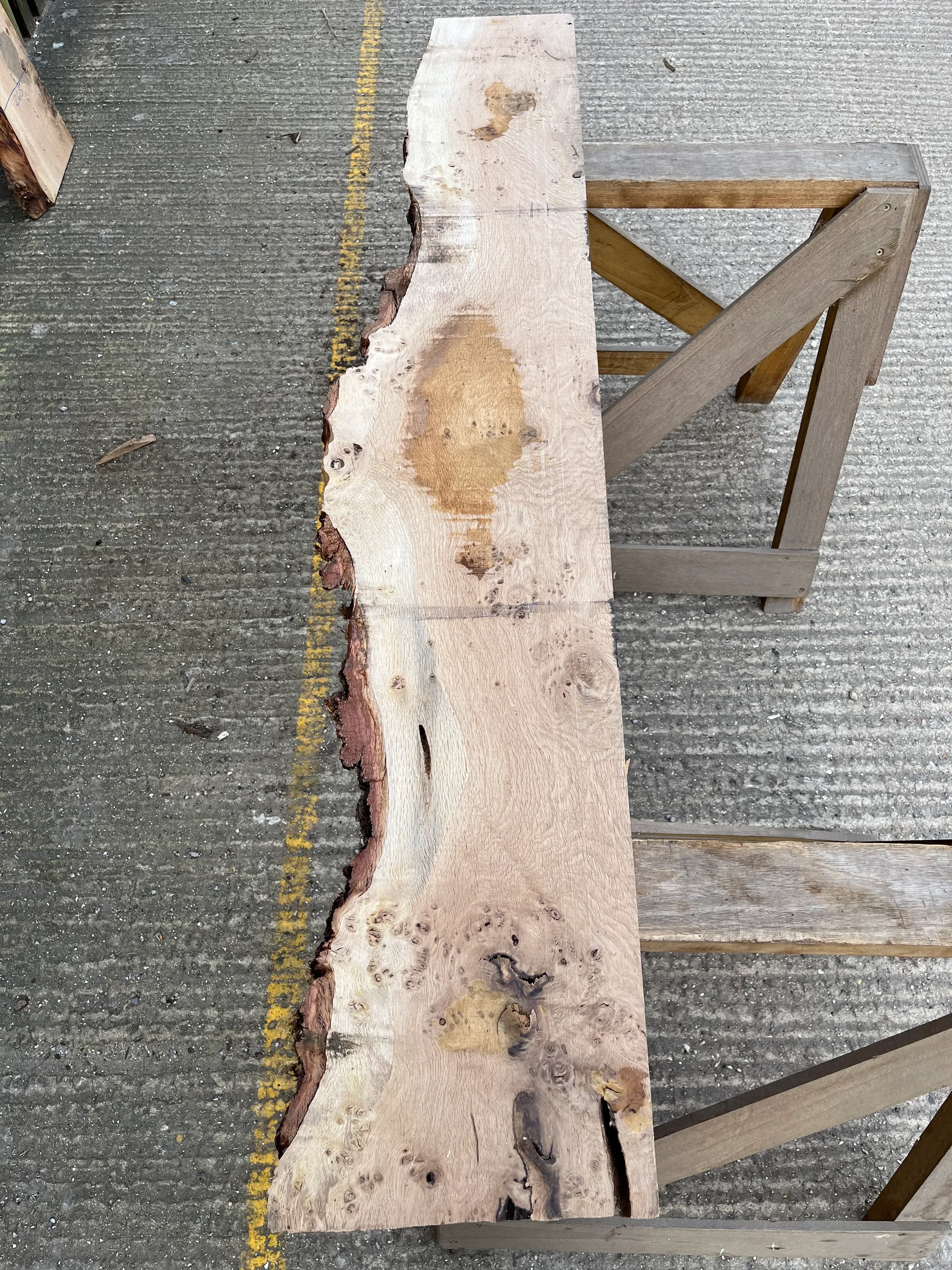 pippy tt000363.1.webp