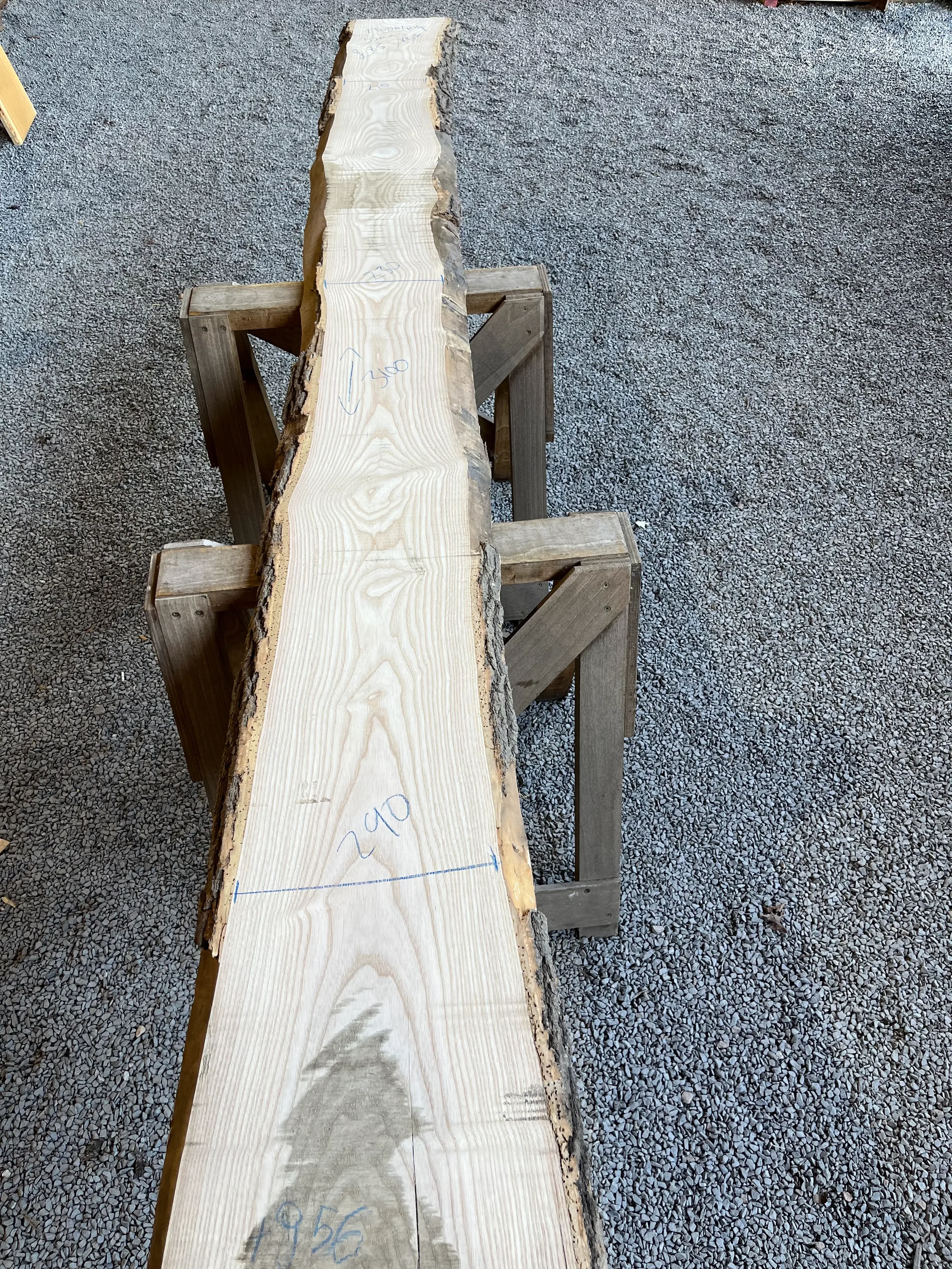 European Ash Live Edge Board 35mm