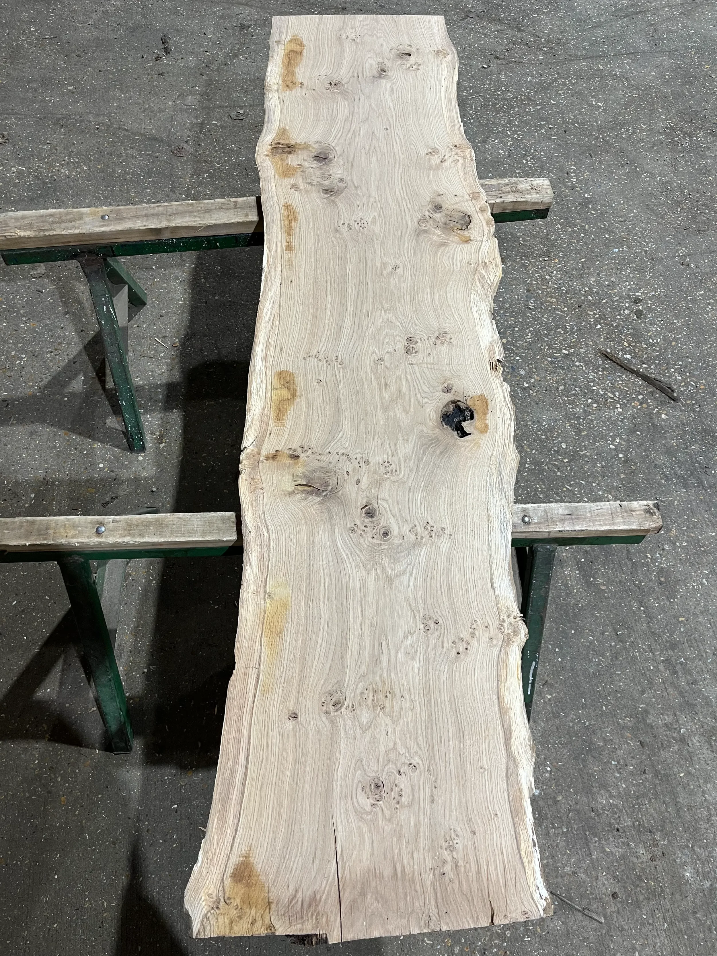 pippy tt000355.1.webp