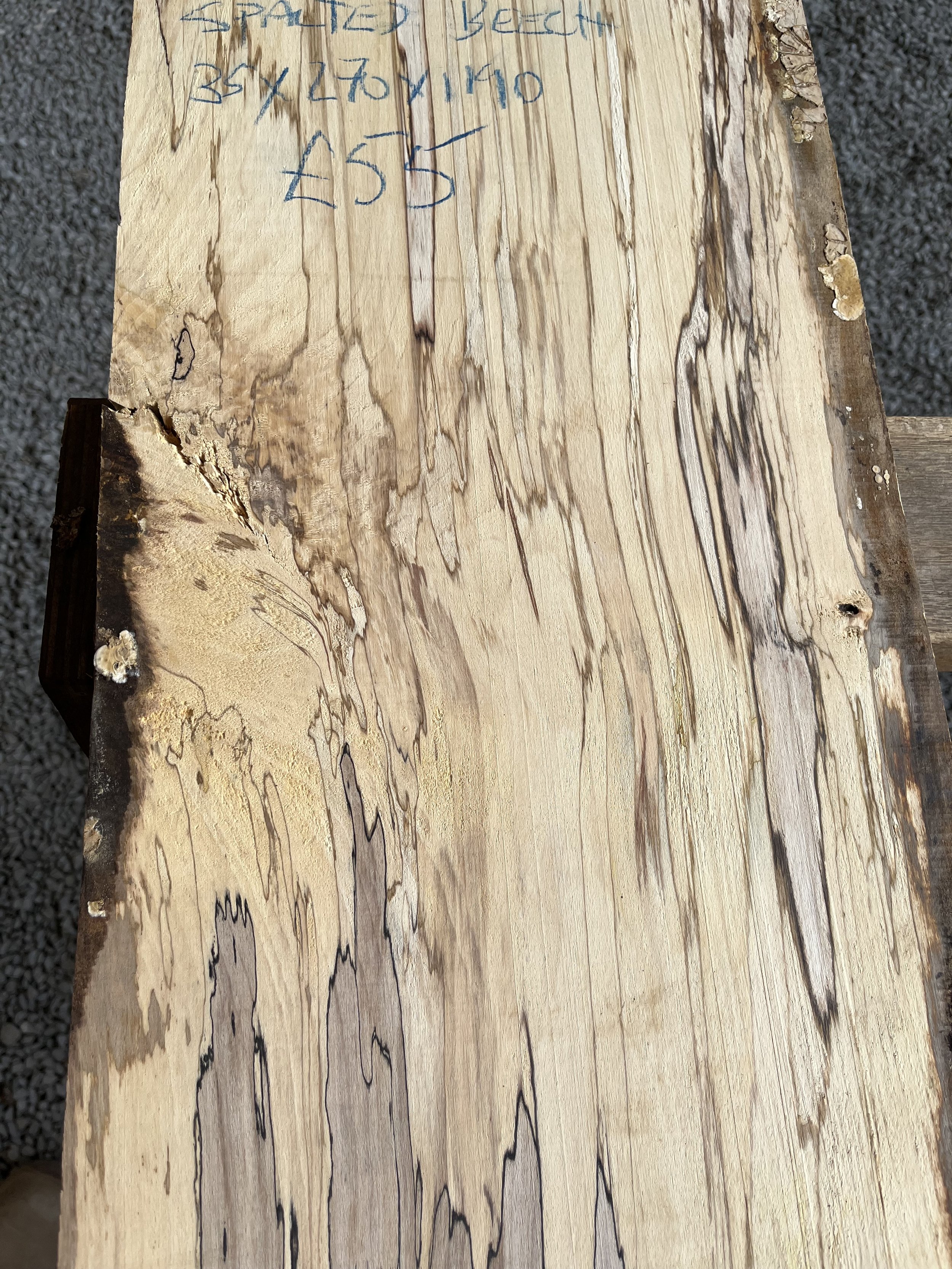 spalted beech se000291.2.jpeg