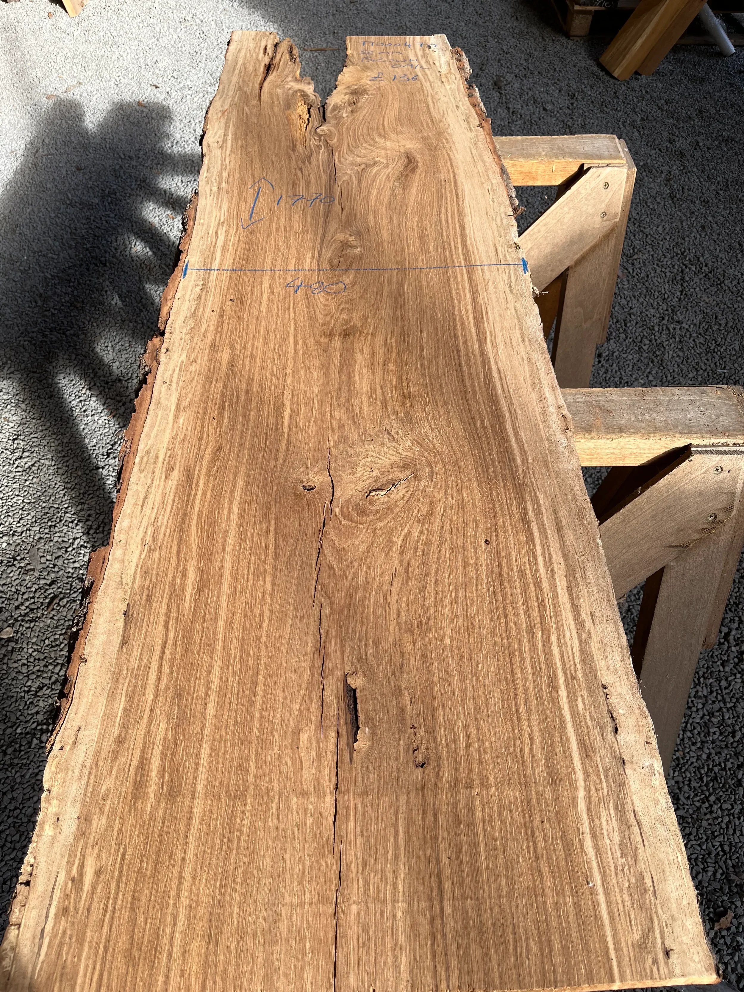 brown oak tt000470.webp