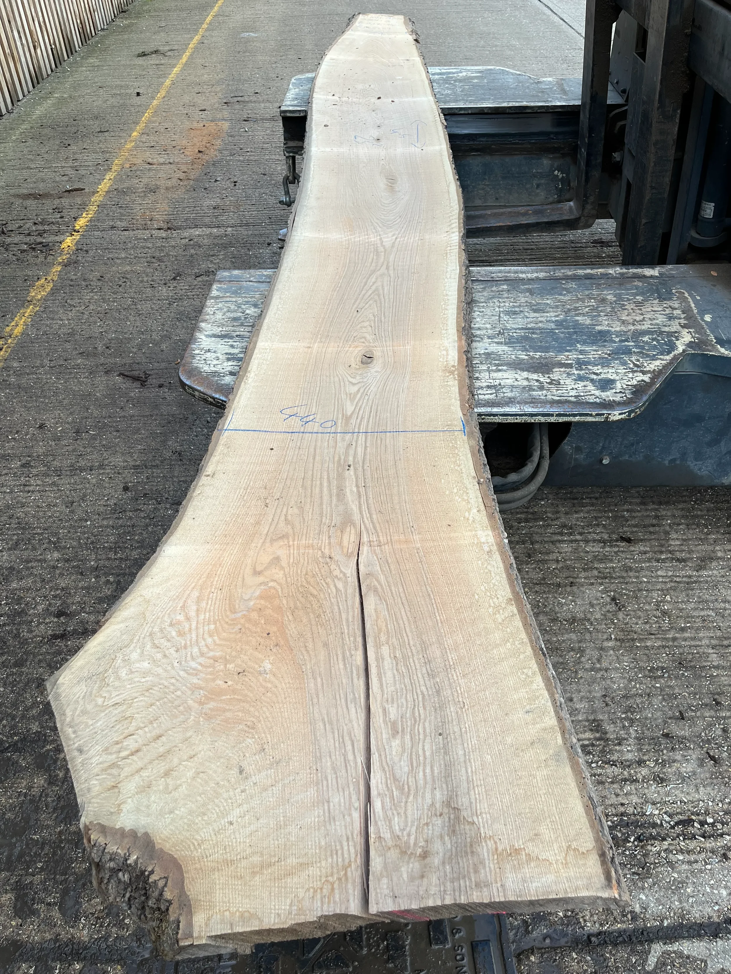 European Ash Live Edge Board 41mm sawn